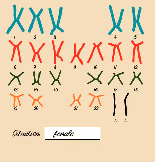 "Karyotype" #14