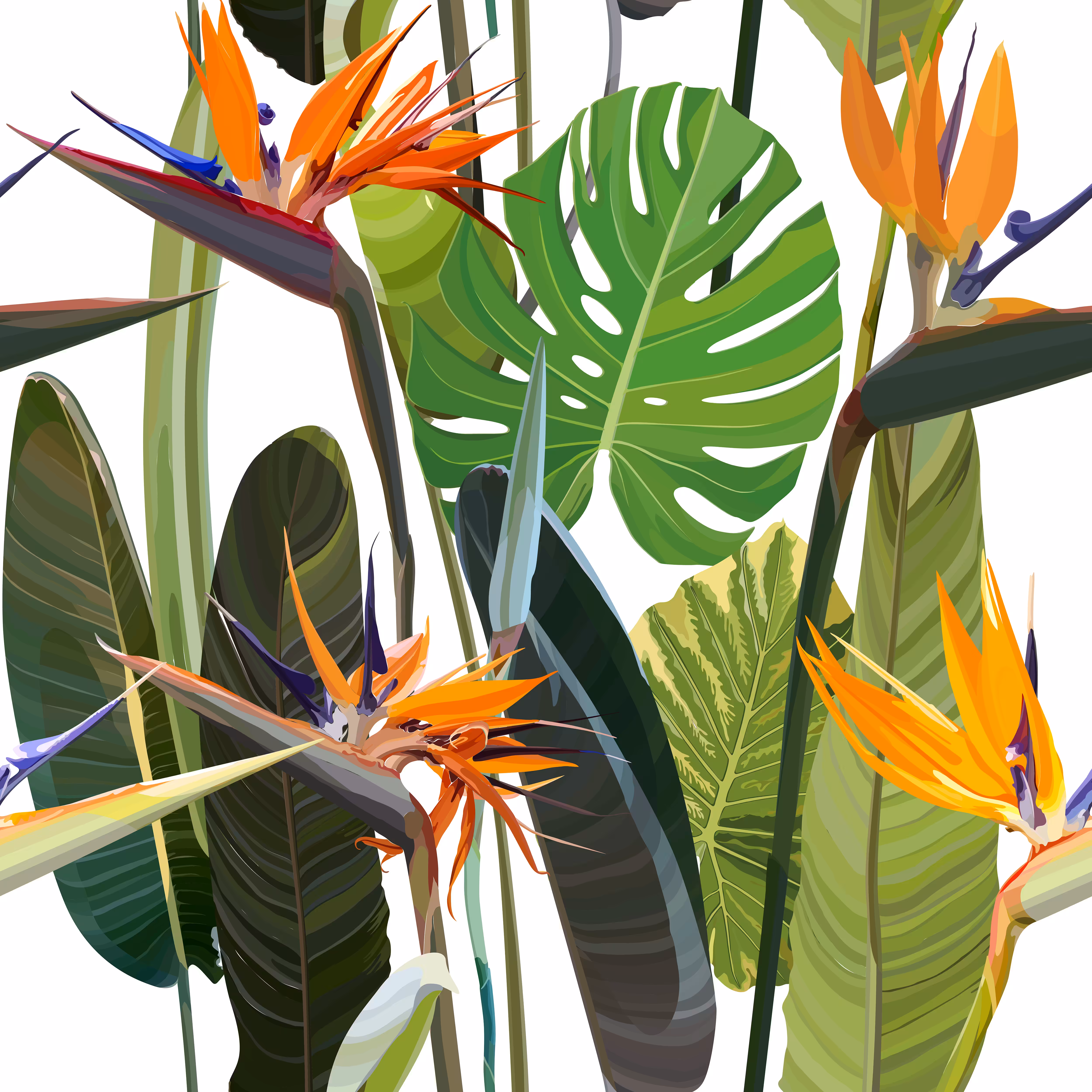 Flowers in your garden
