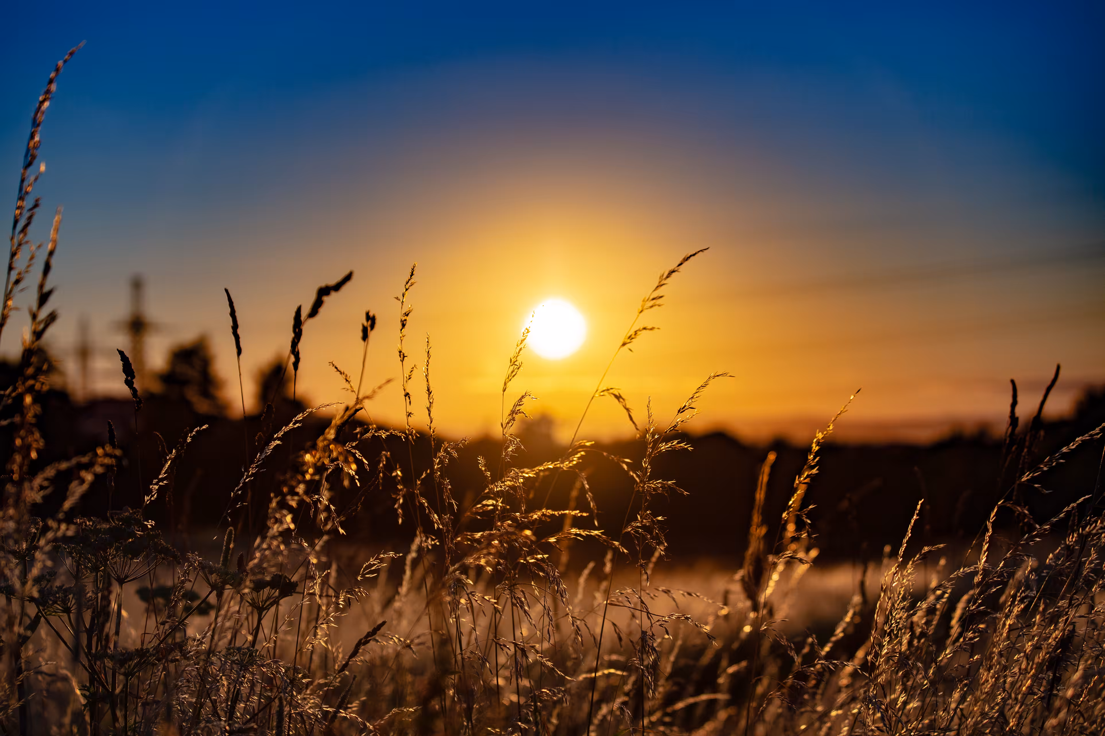 Golden Hour