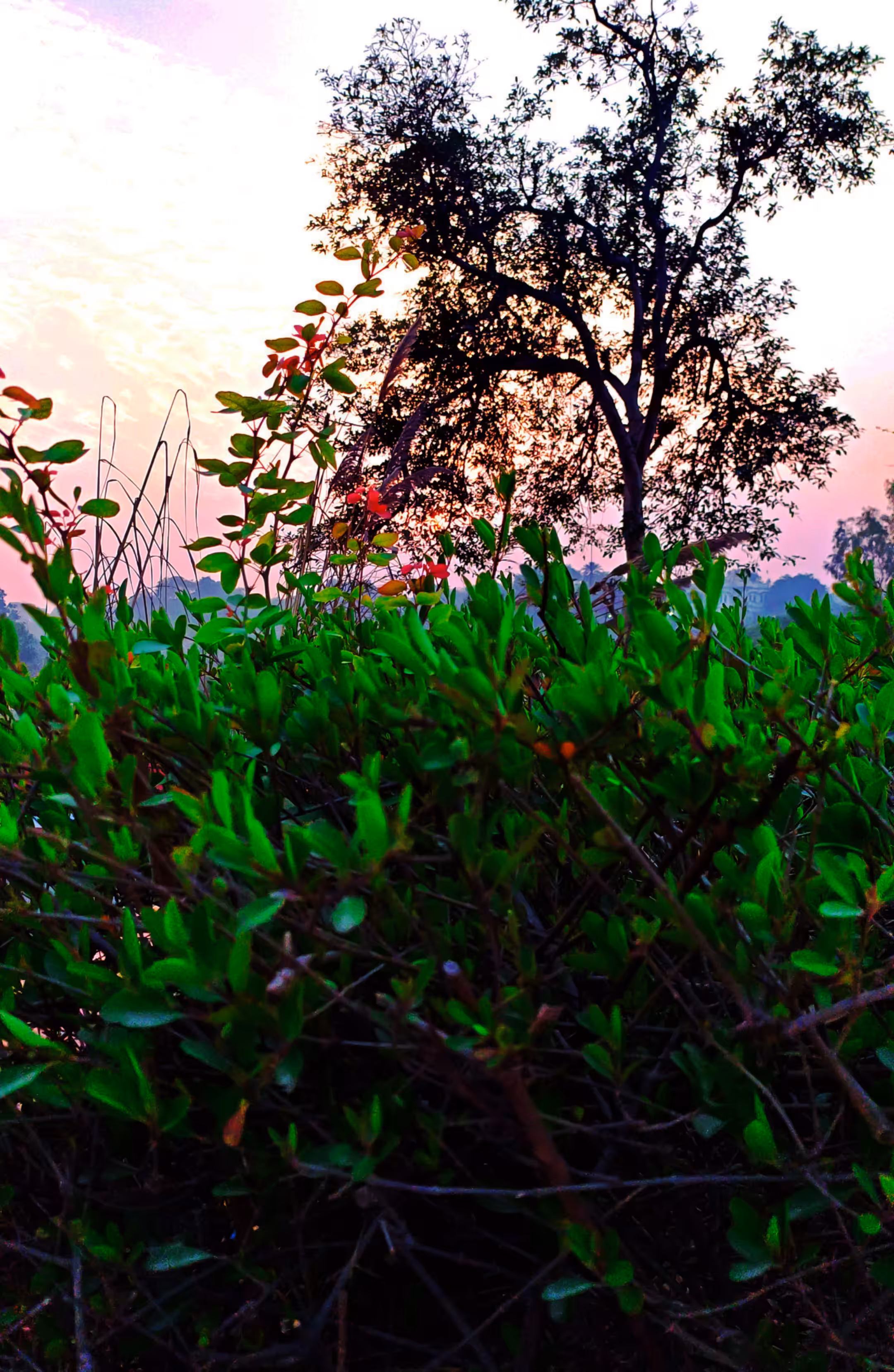 Pixelgraphy: Sunset Serenity #14