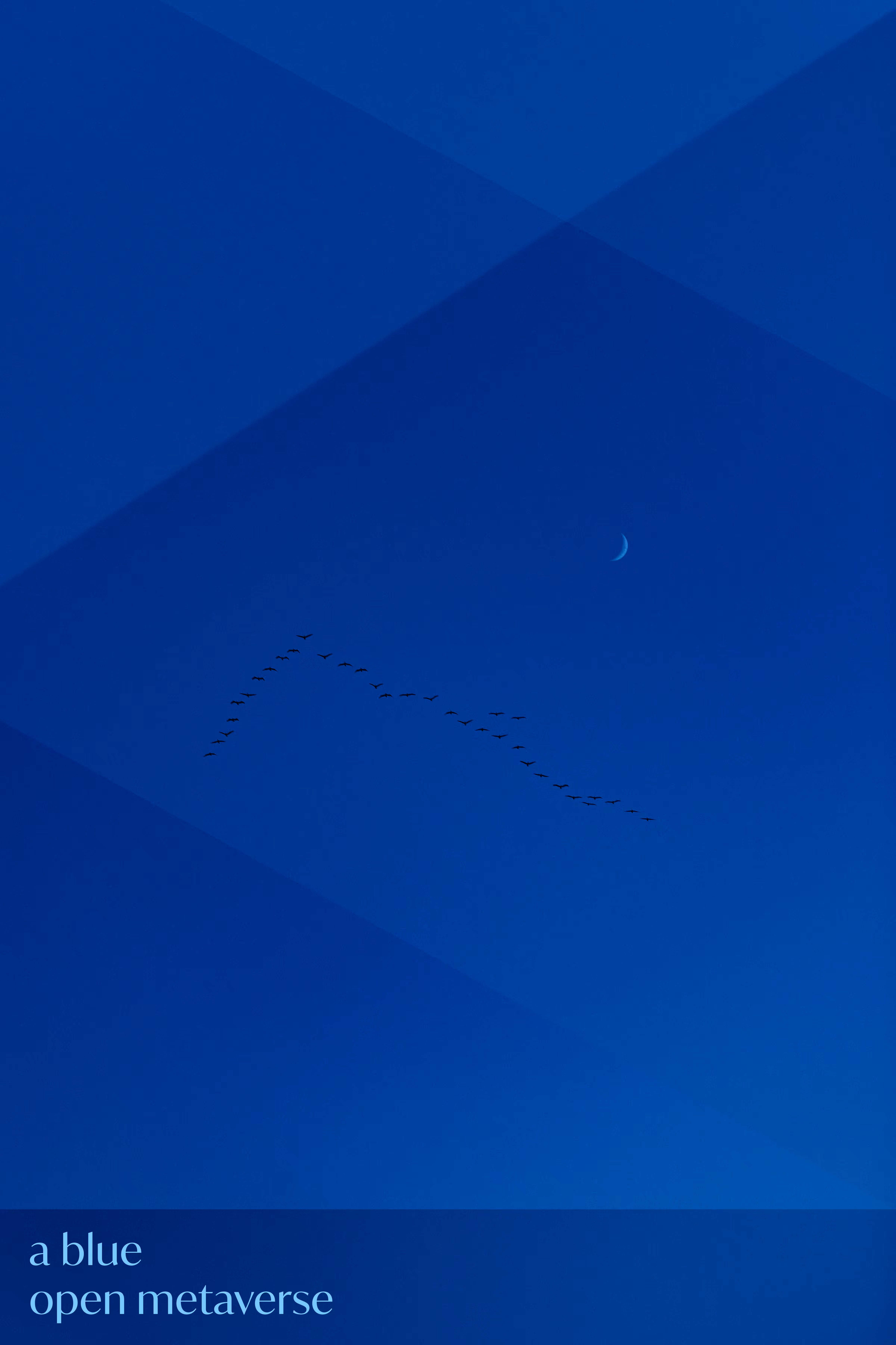 building BlueOM