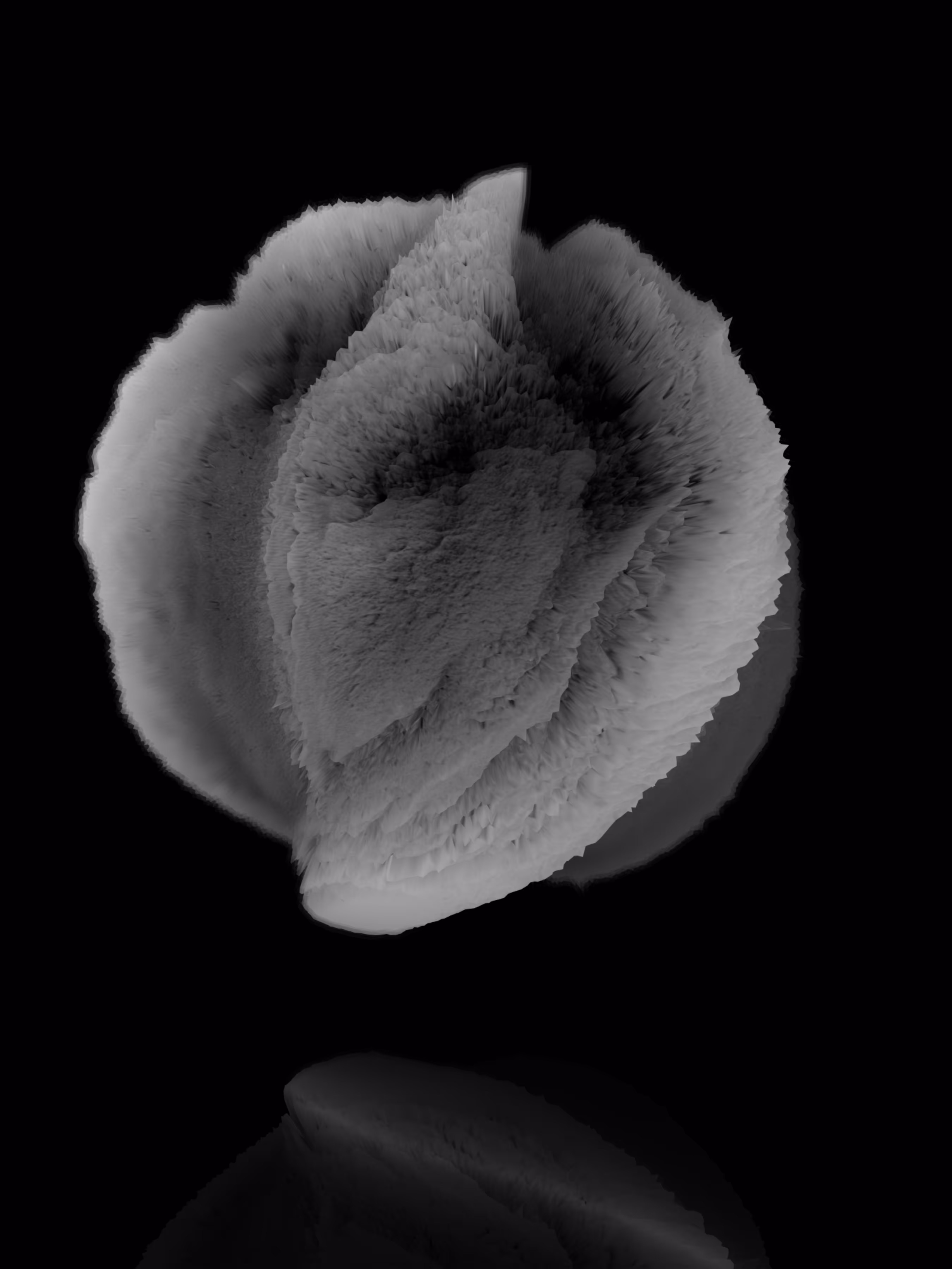 S.FE/08[-36.5°, 322.7°]