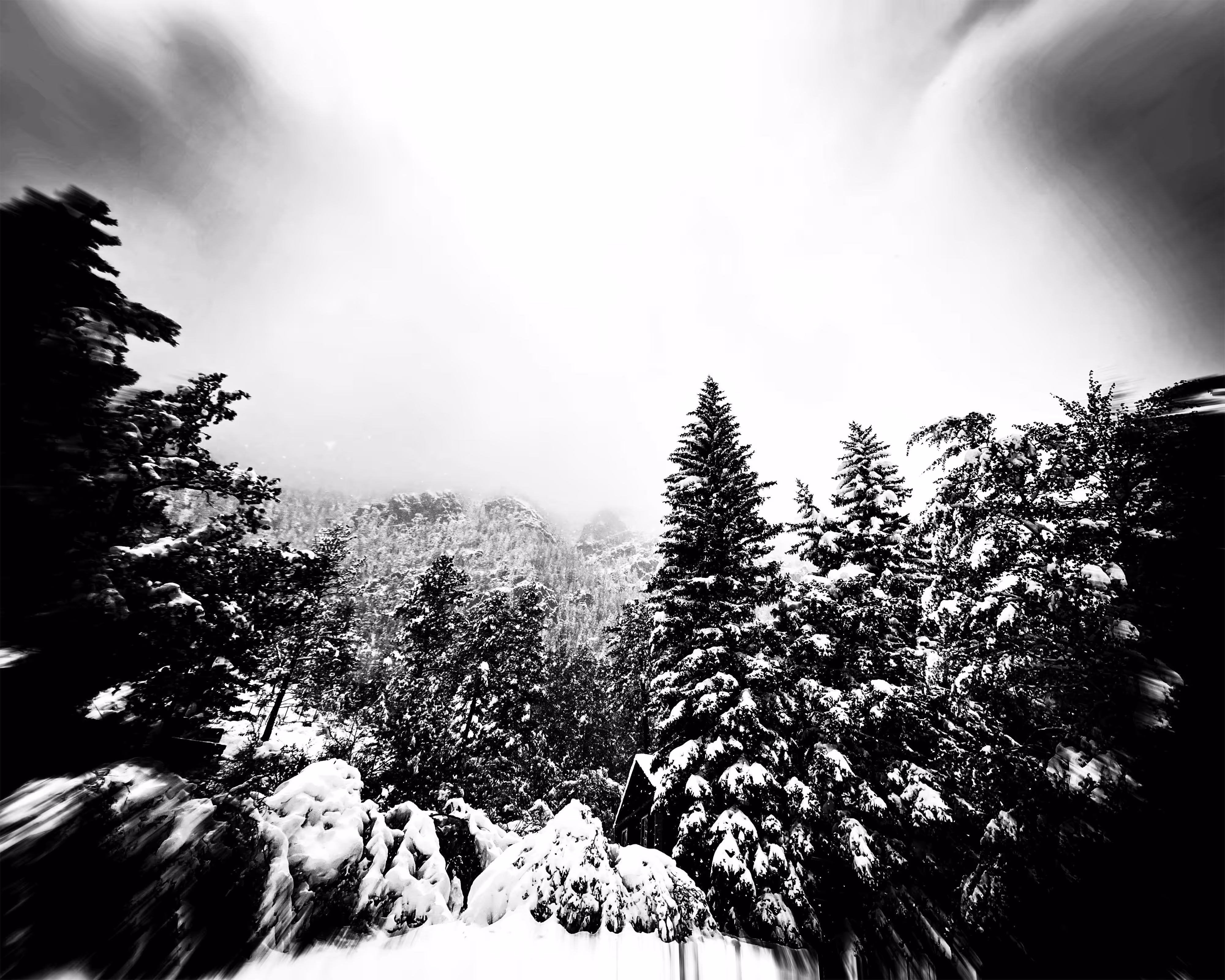 Into the Frost