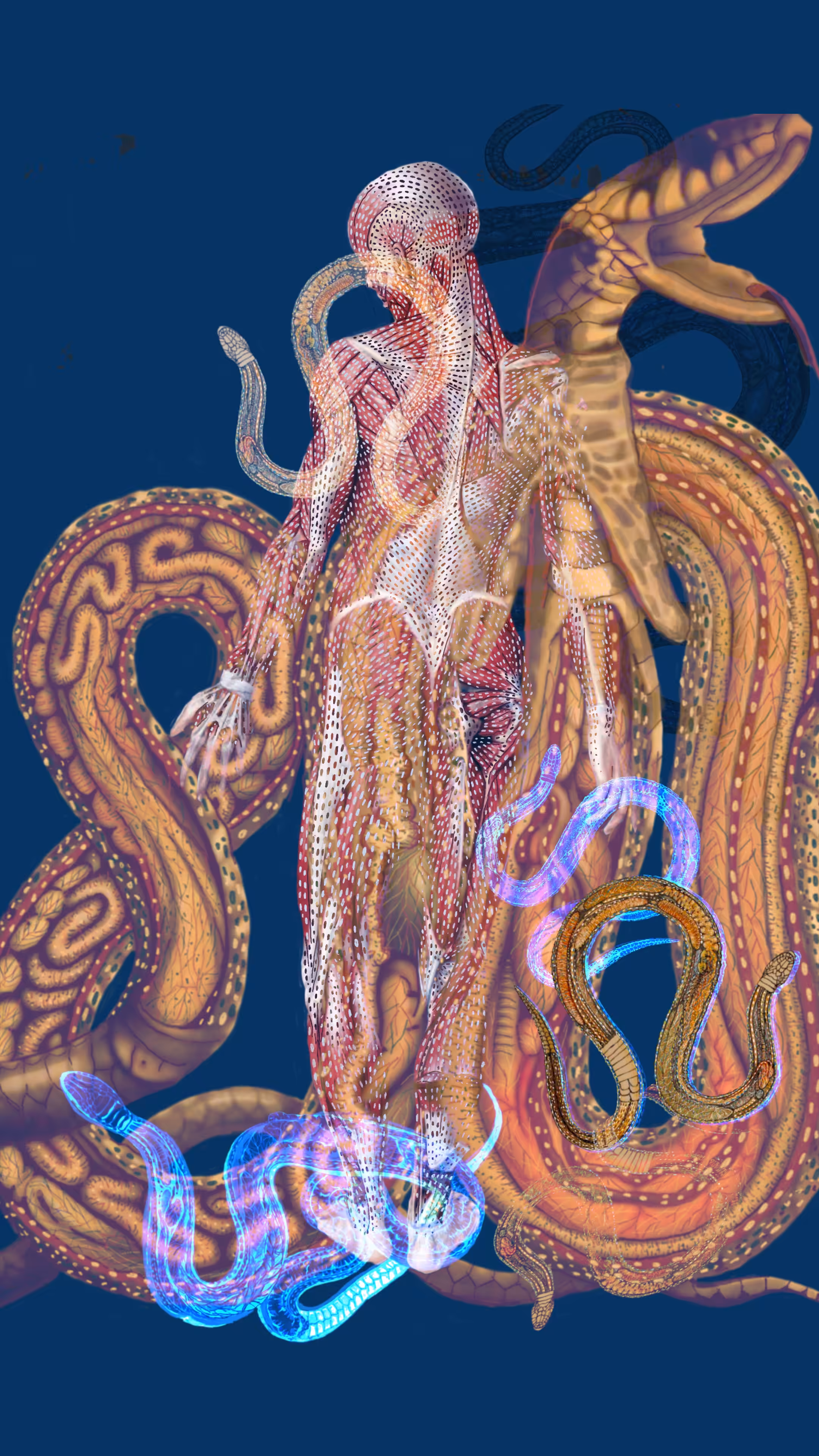 Humanimal Anatomy (snakes) #1