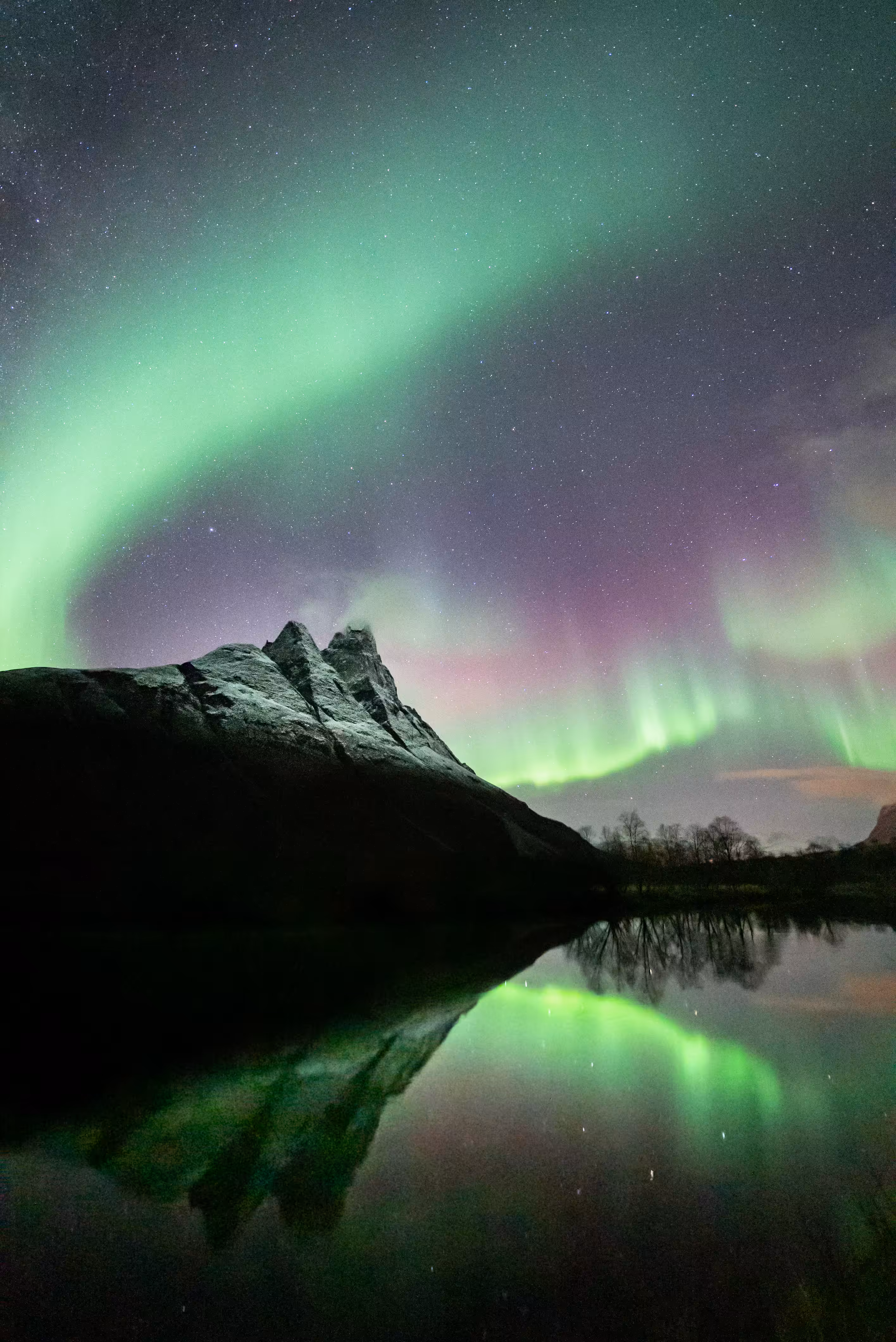 Arctic Dream #14