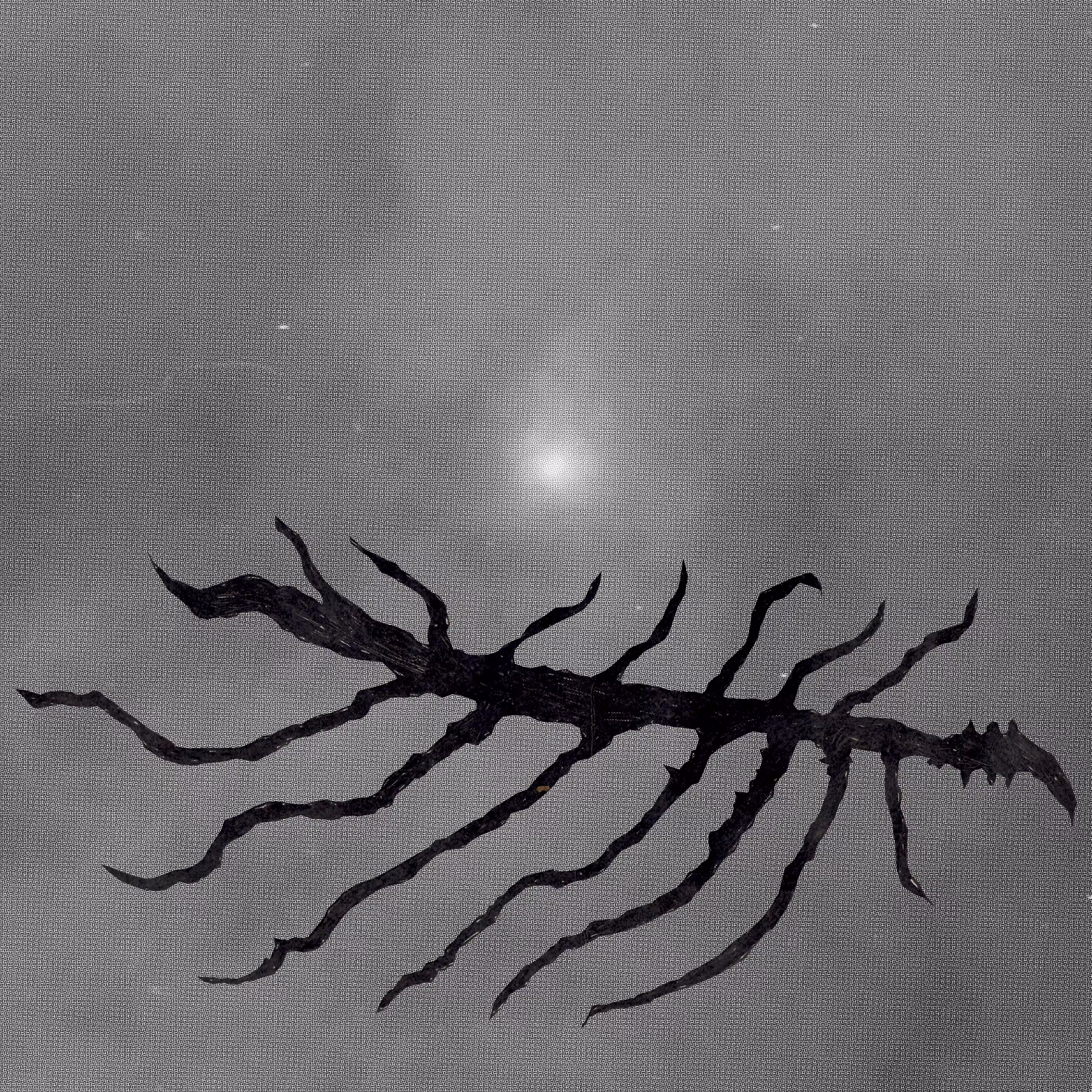 A catalogue of silence: 8