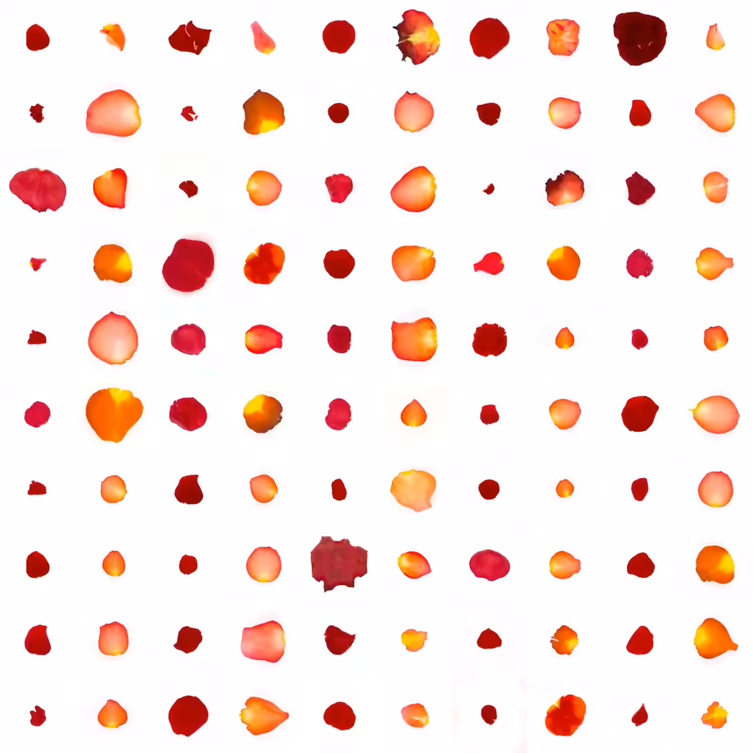 Infinite Petals 10x10#4071
