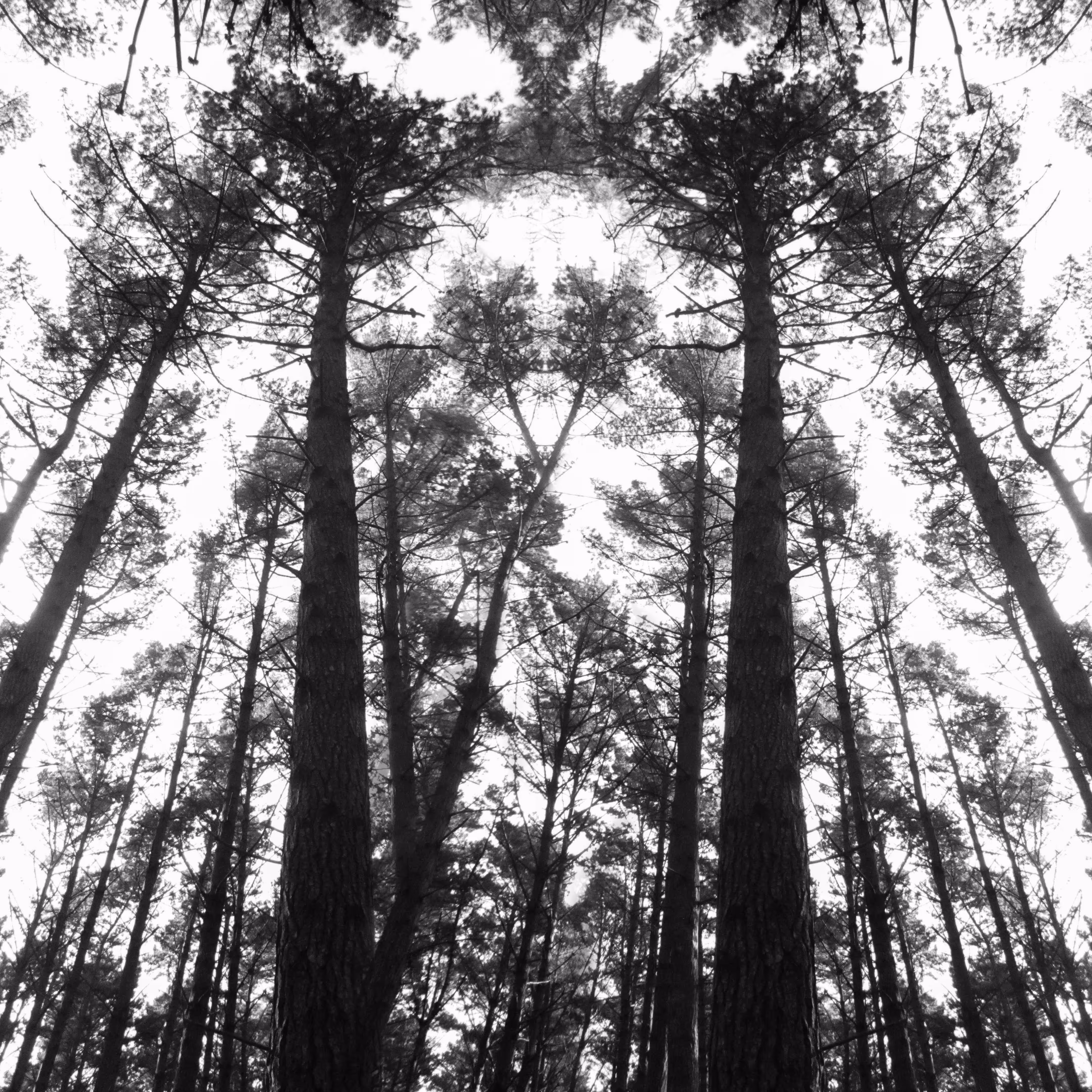 achromatic