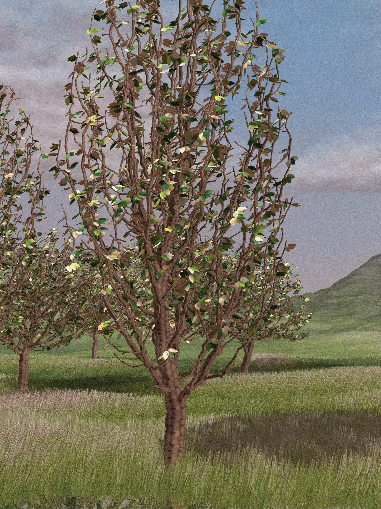 Landscapes out of my mind #20