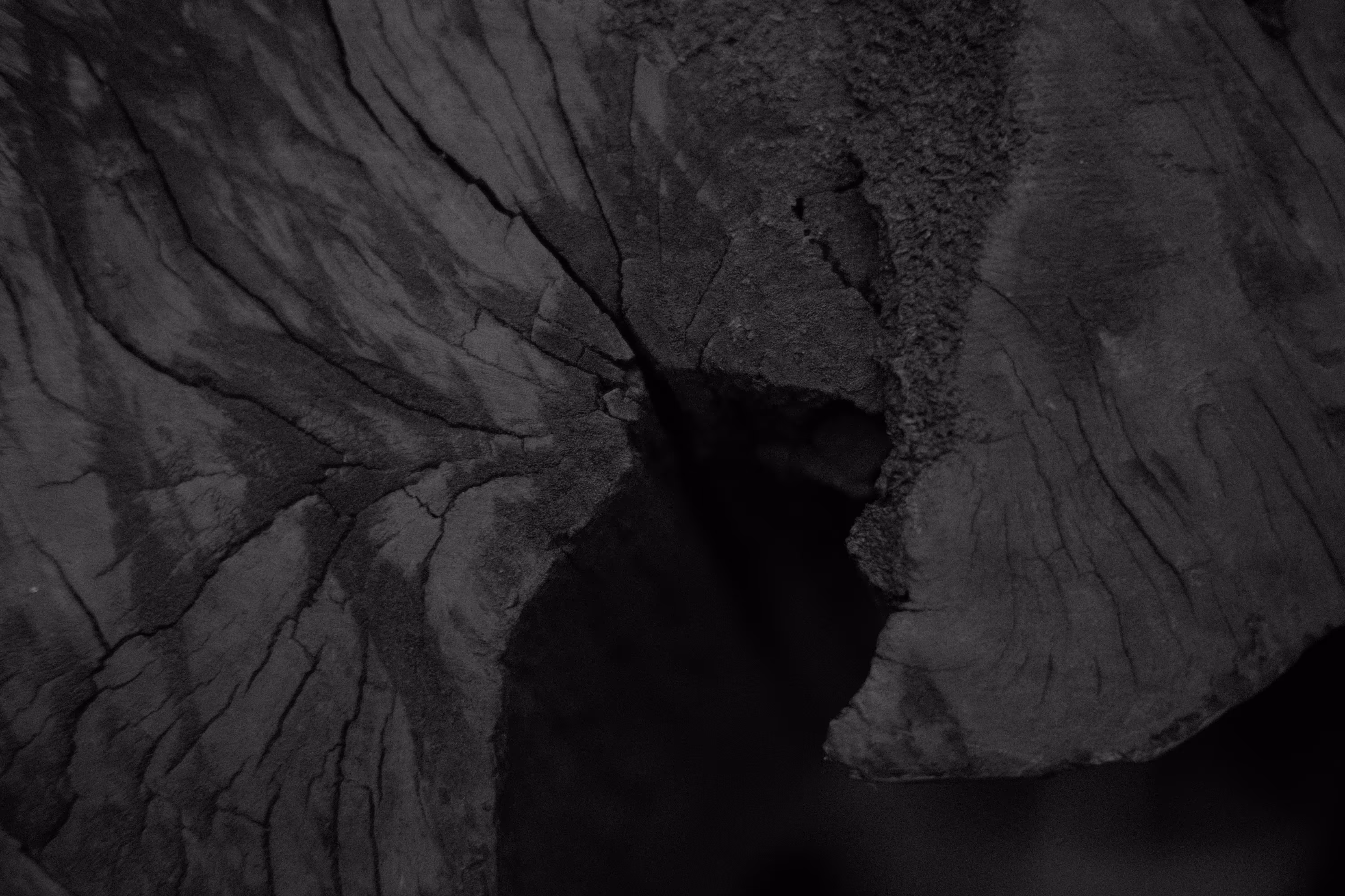 Chapter 4 "Texture"