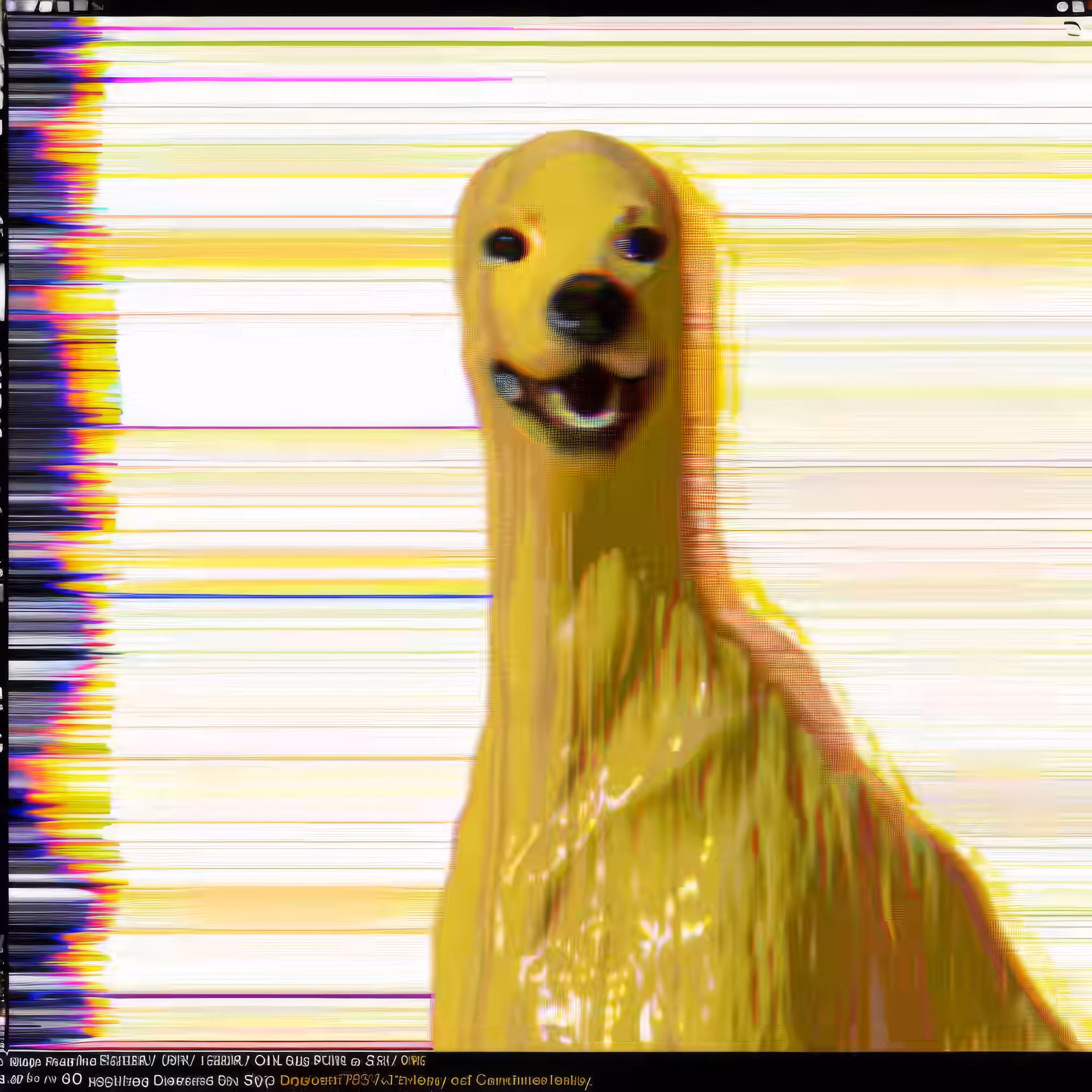 BAD JPEGs: Glitch-Doggo