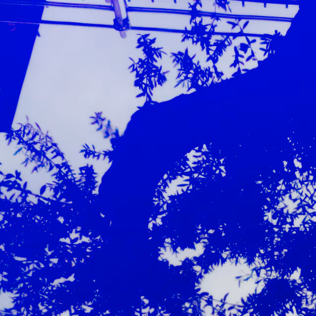 Blue body