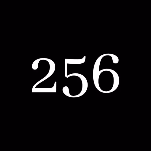 256