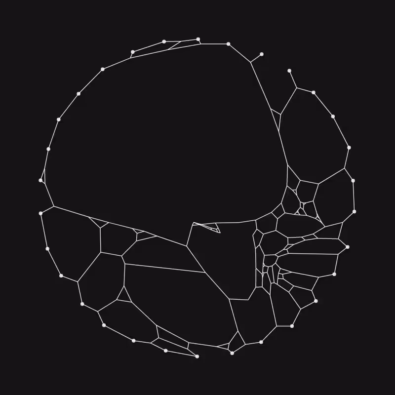 Elastic Web #196