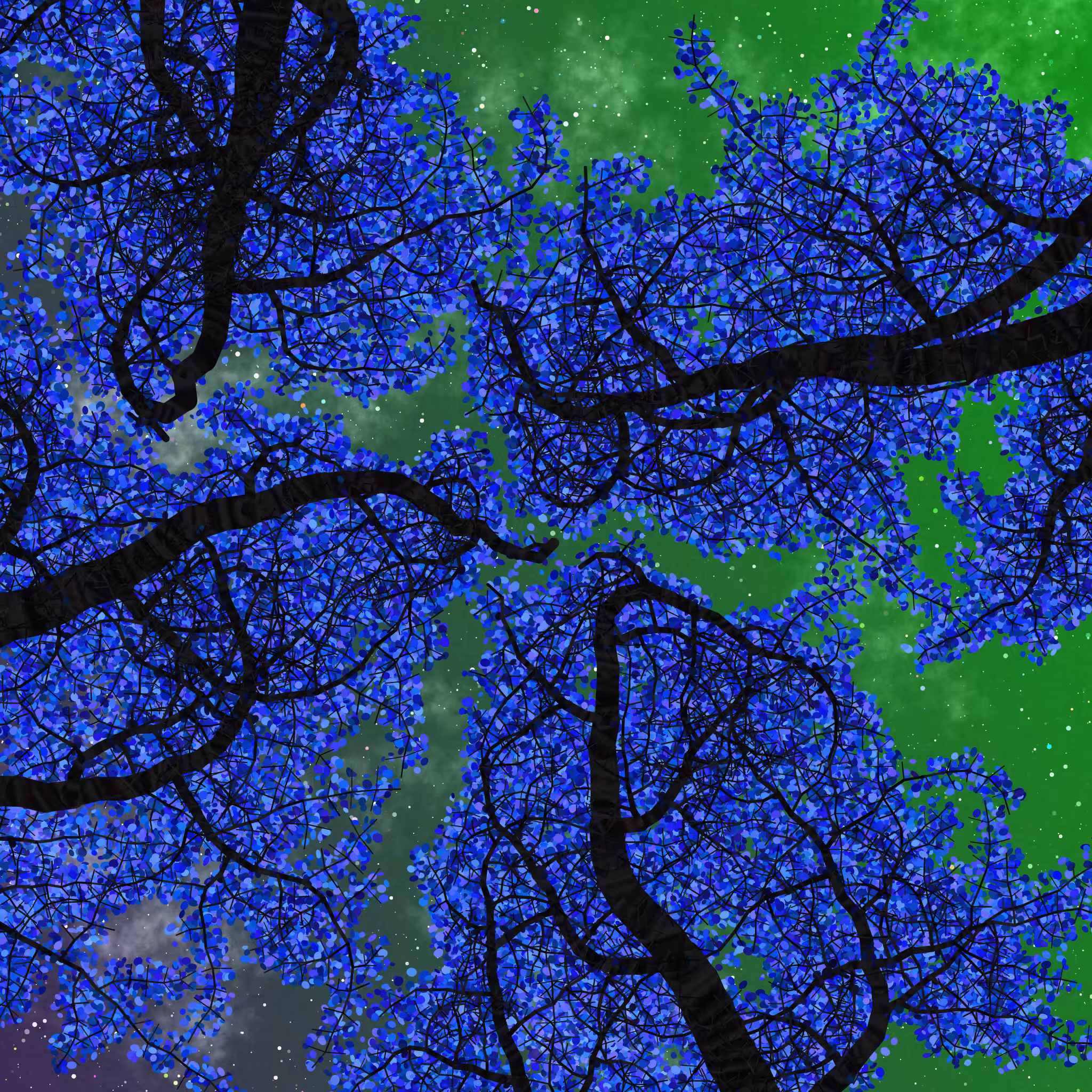 Tree Skyness #161