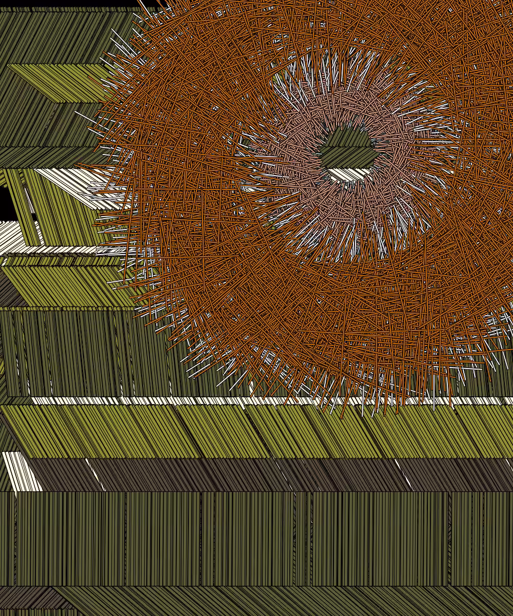 Shavings #58