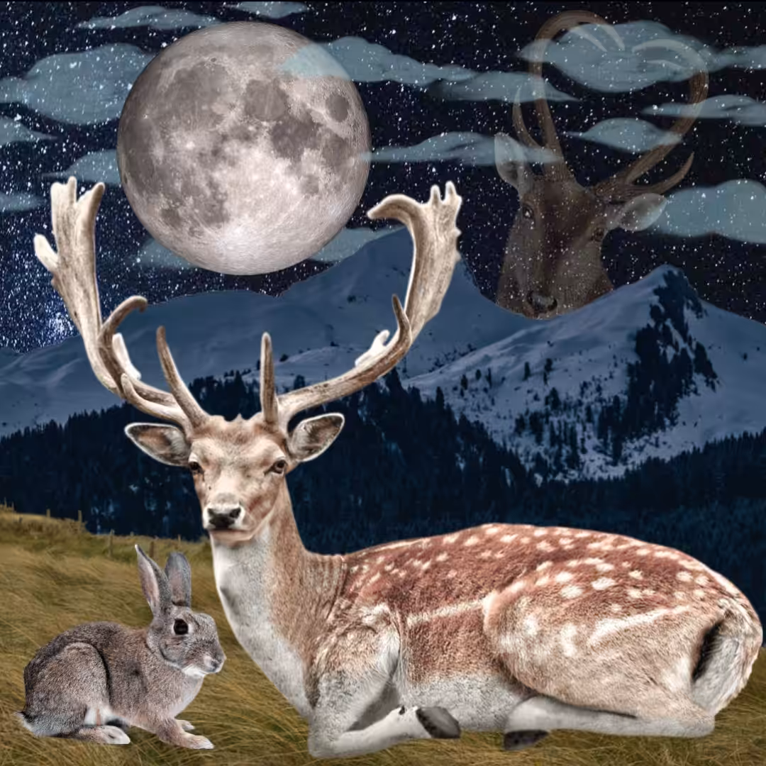 Bambi and Thumper Under the Moonlight