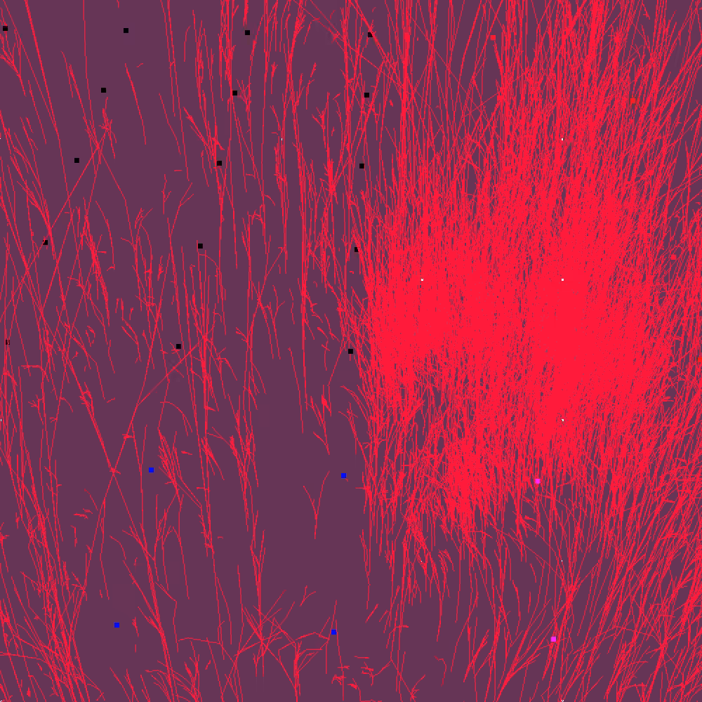 Infinite Garden: 11725 Flowers