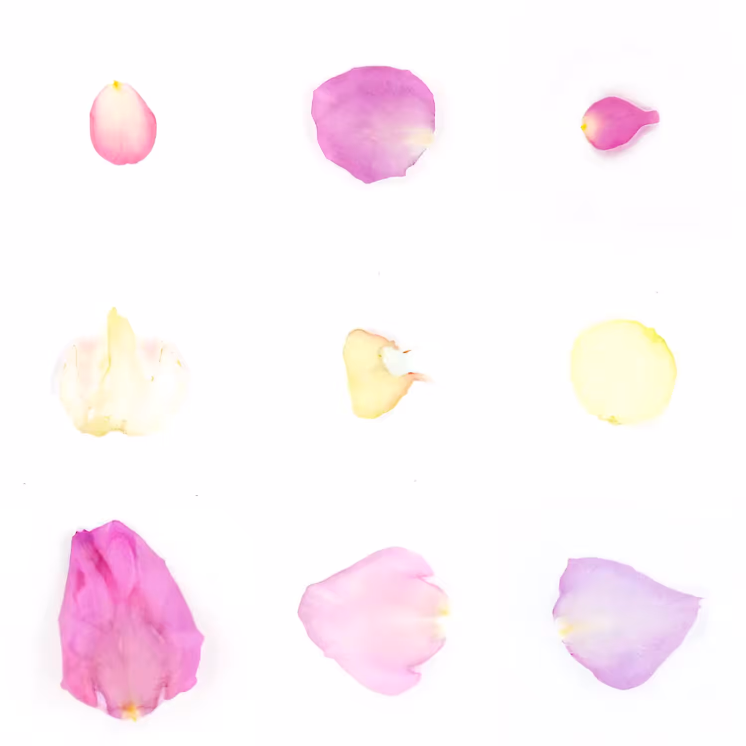 Infinite Petals 3x3#20484