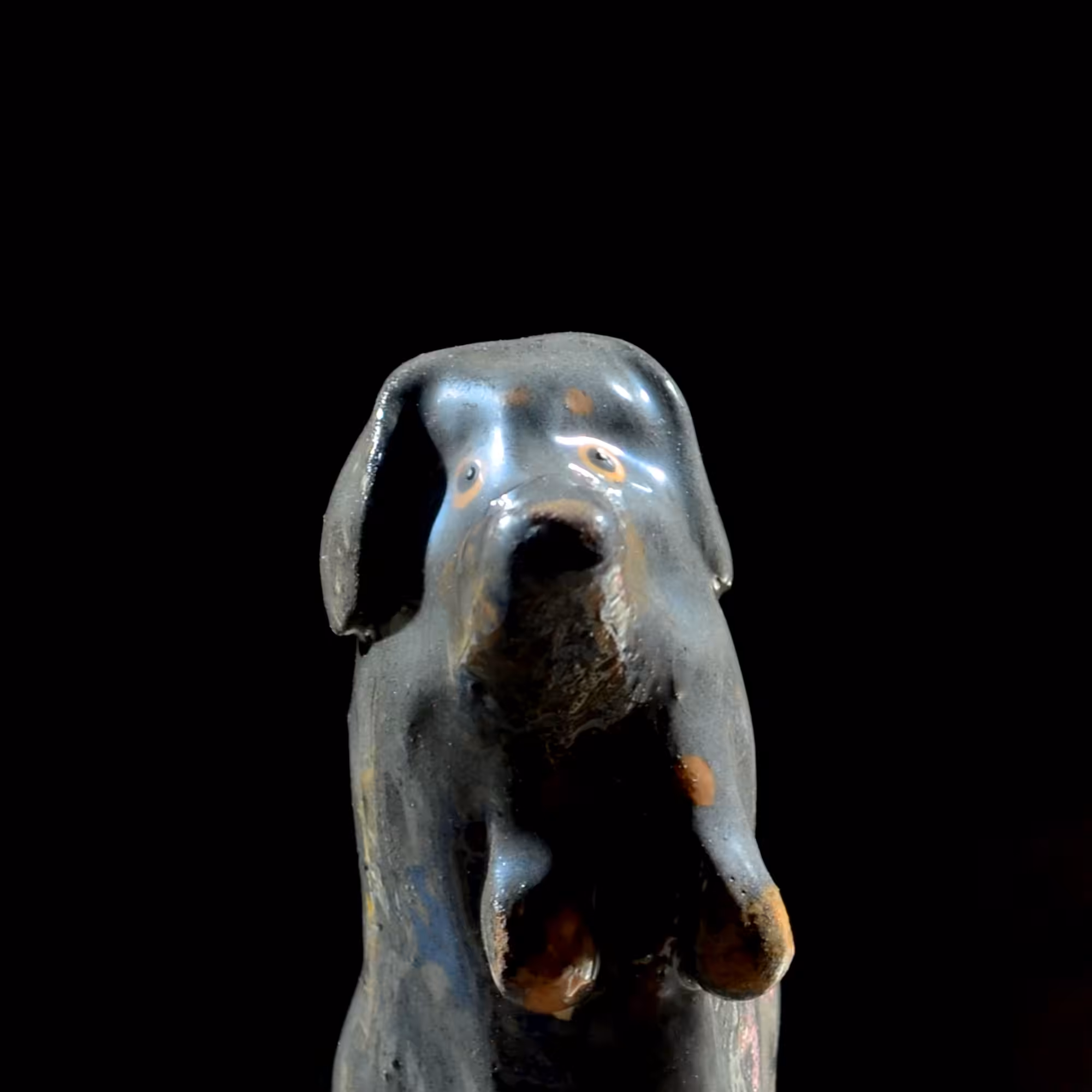 pfpup#0071