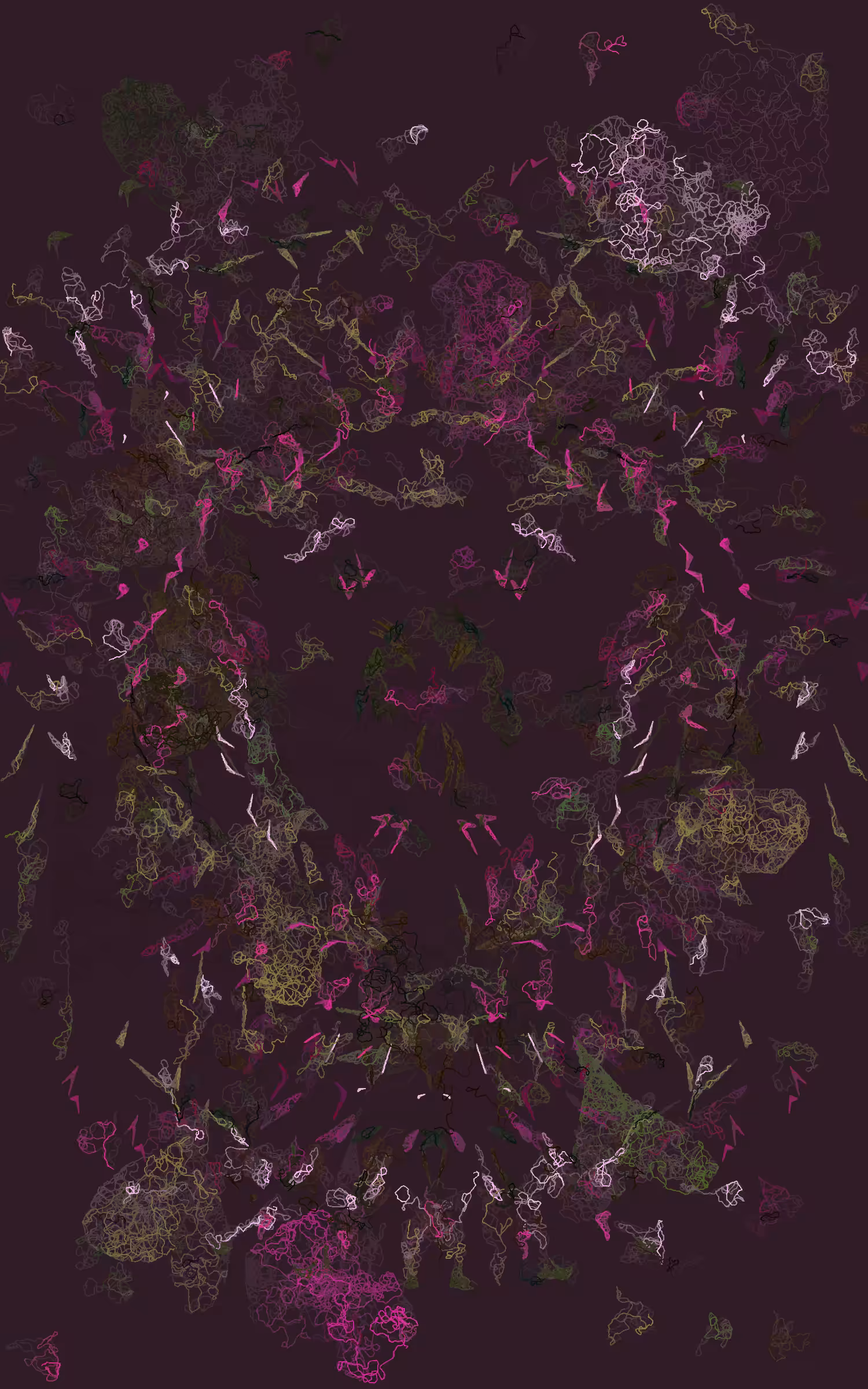 Orchids #68