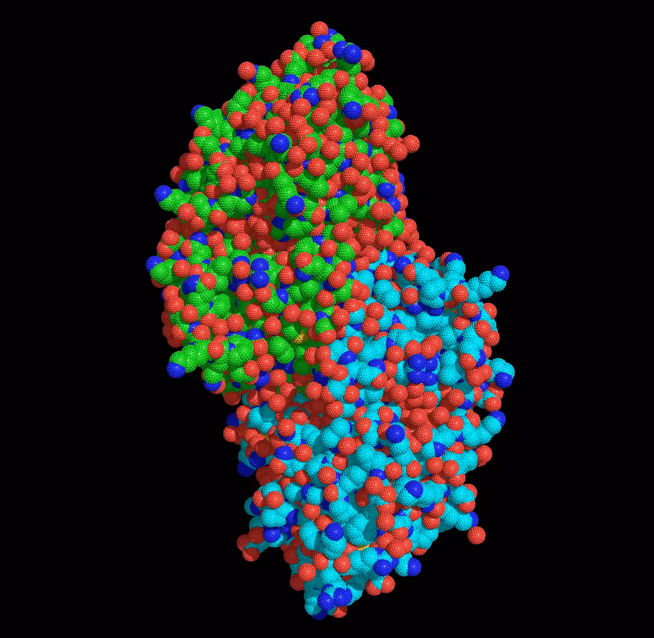 Alcohol Dehydrogenase – ADH1A sticky spheres