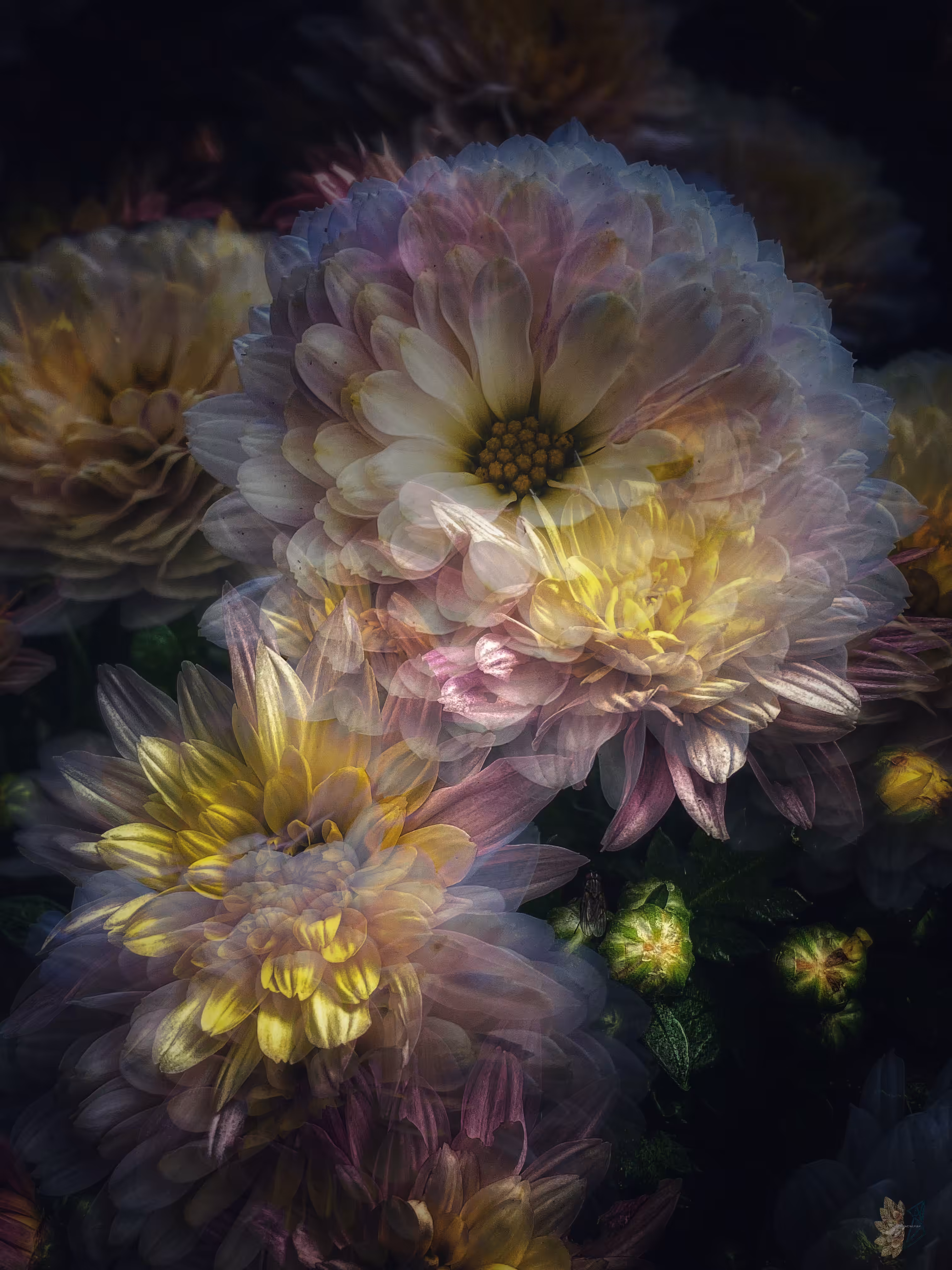 🌸💫Flower Fusion: Dreamy Clouds & Sunbeams 💛