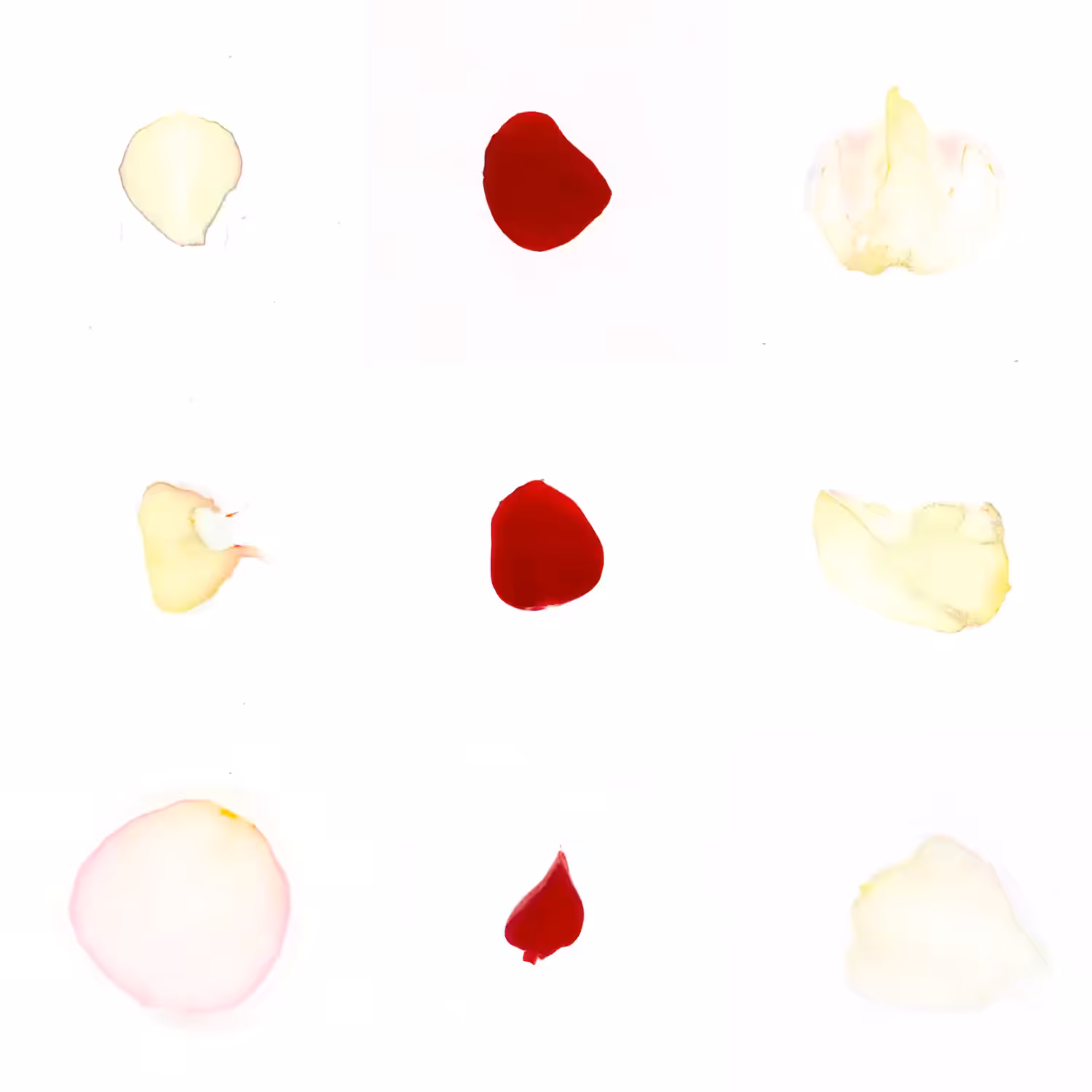 Infinite Petals 3x3#3896