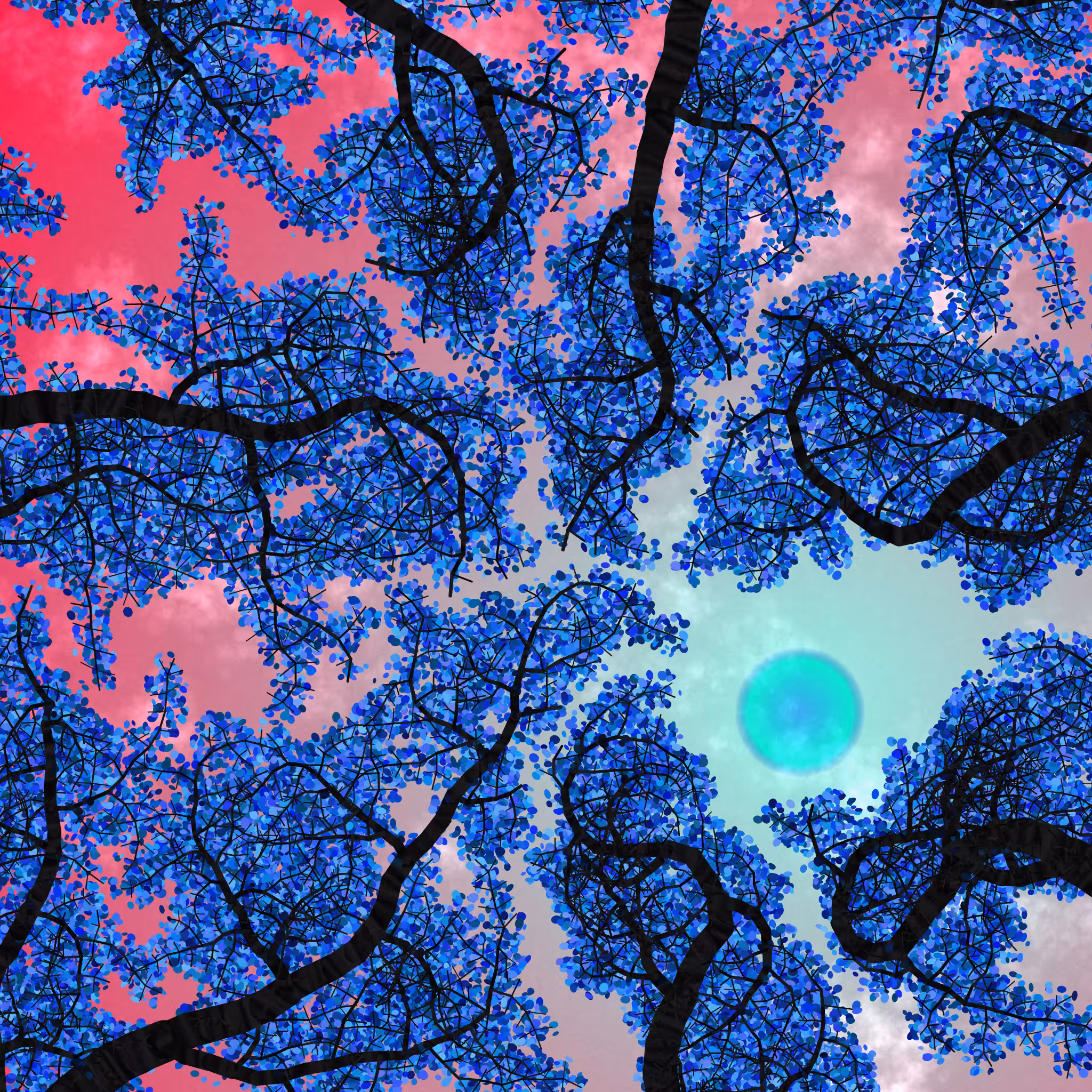 Tree Skyness #180