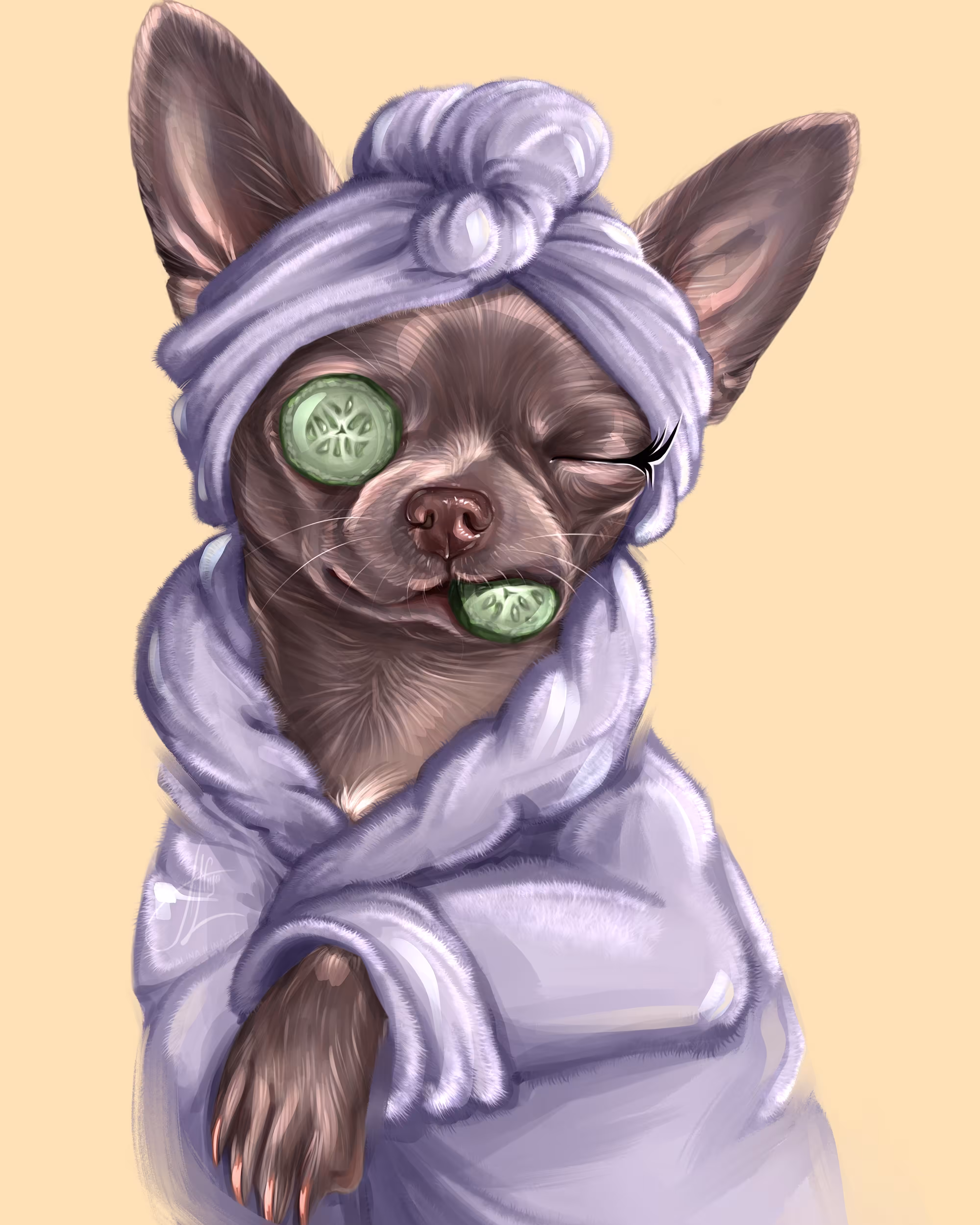 Charming Chihuahua