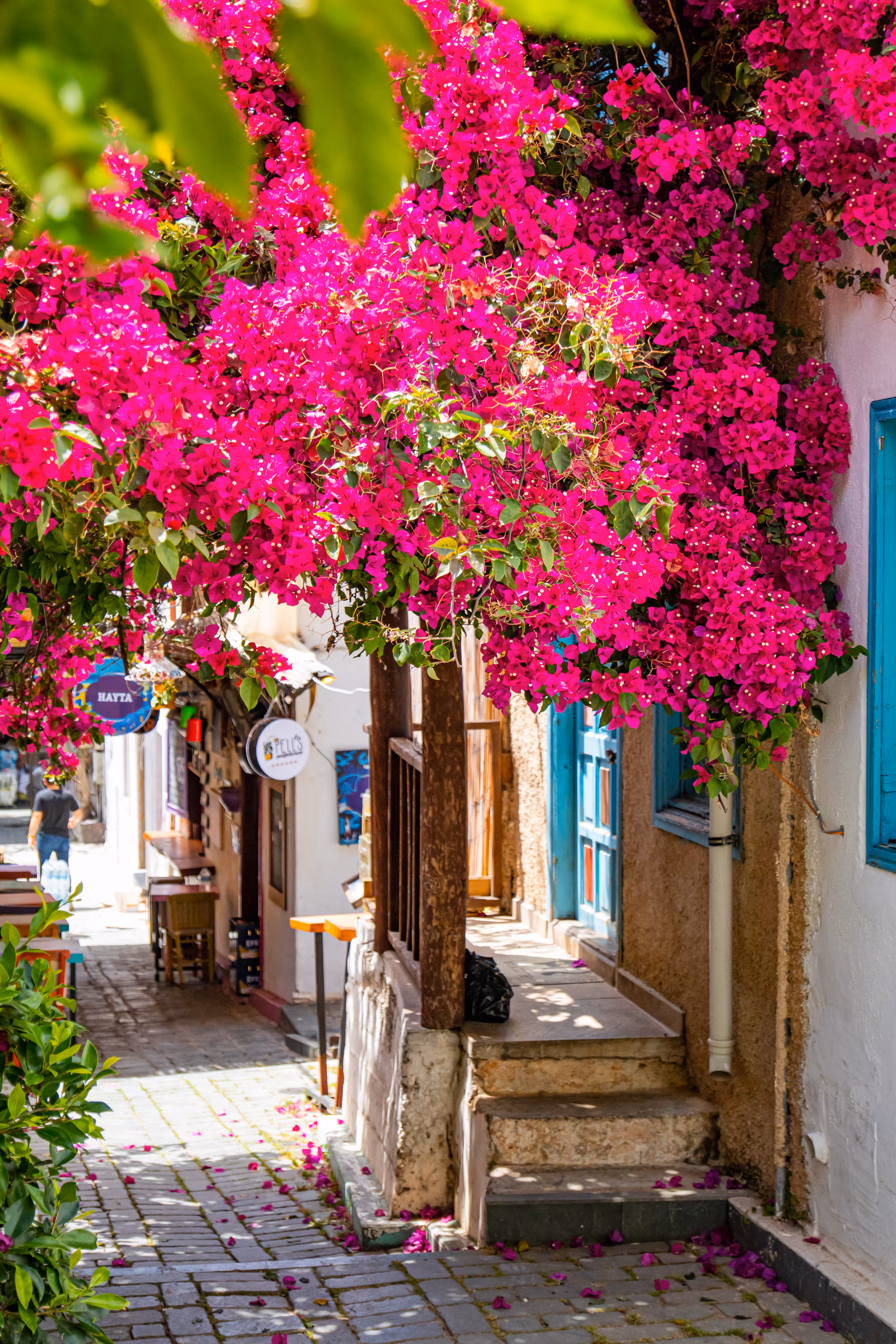 colourful Street