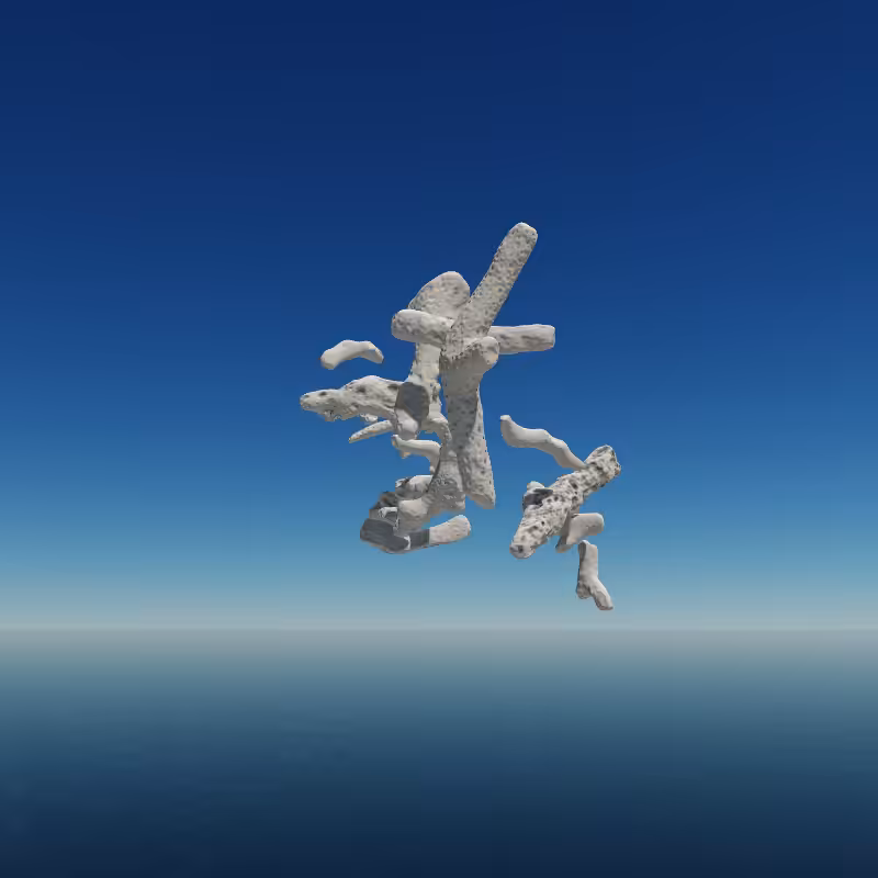 Bone Work (Gulf of Mexico) 2022 #29