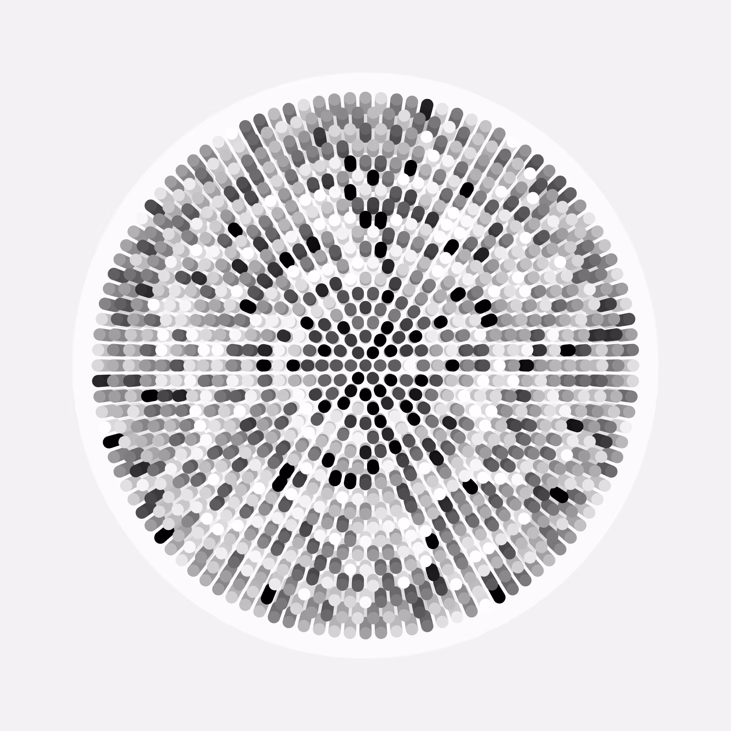 Transitions #16