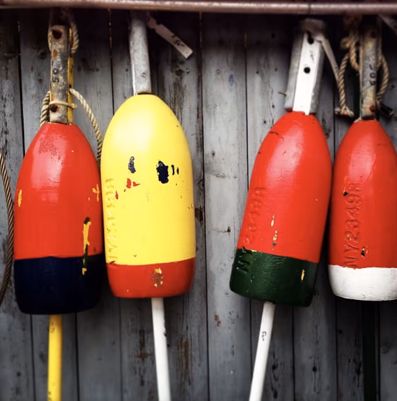 buoys