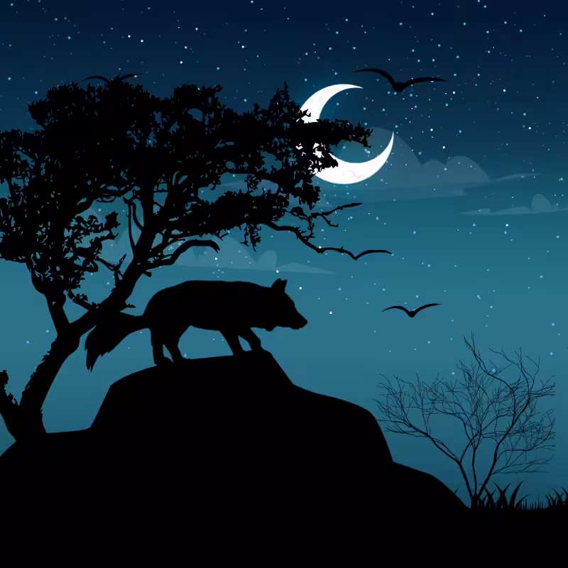 We Care...Fox #9