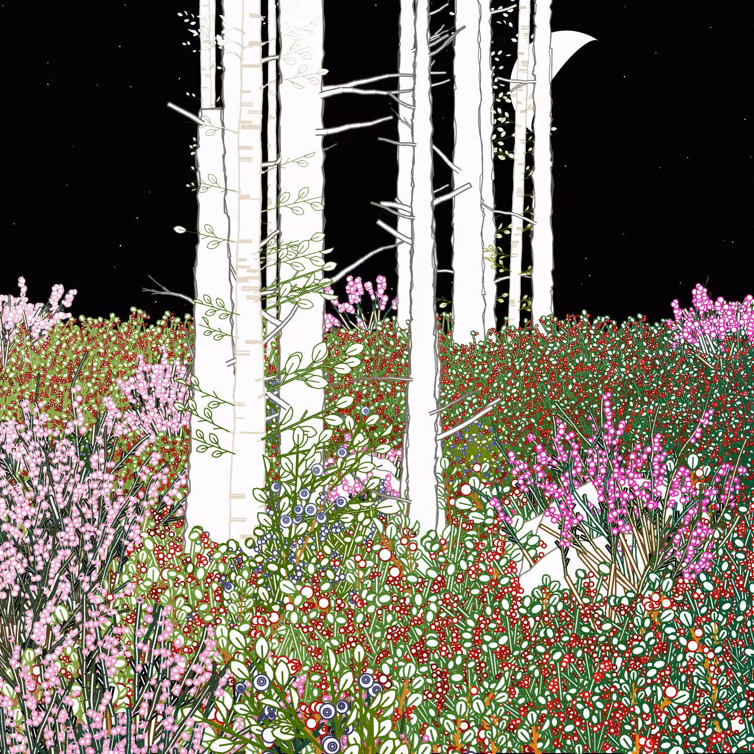 Swedish Forest #66