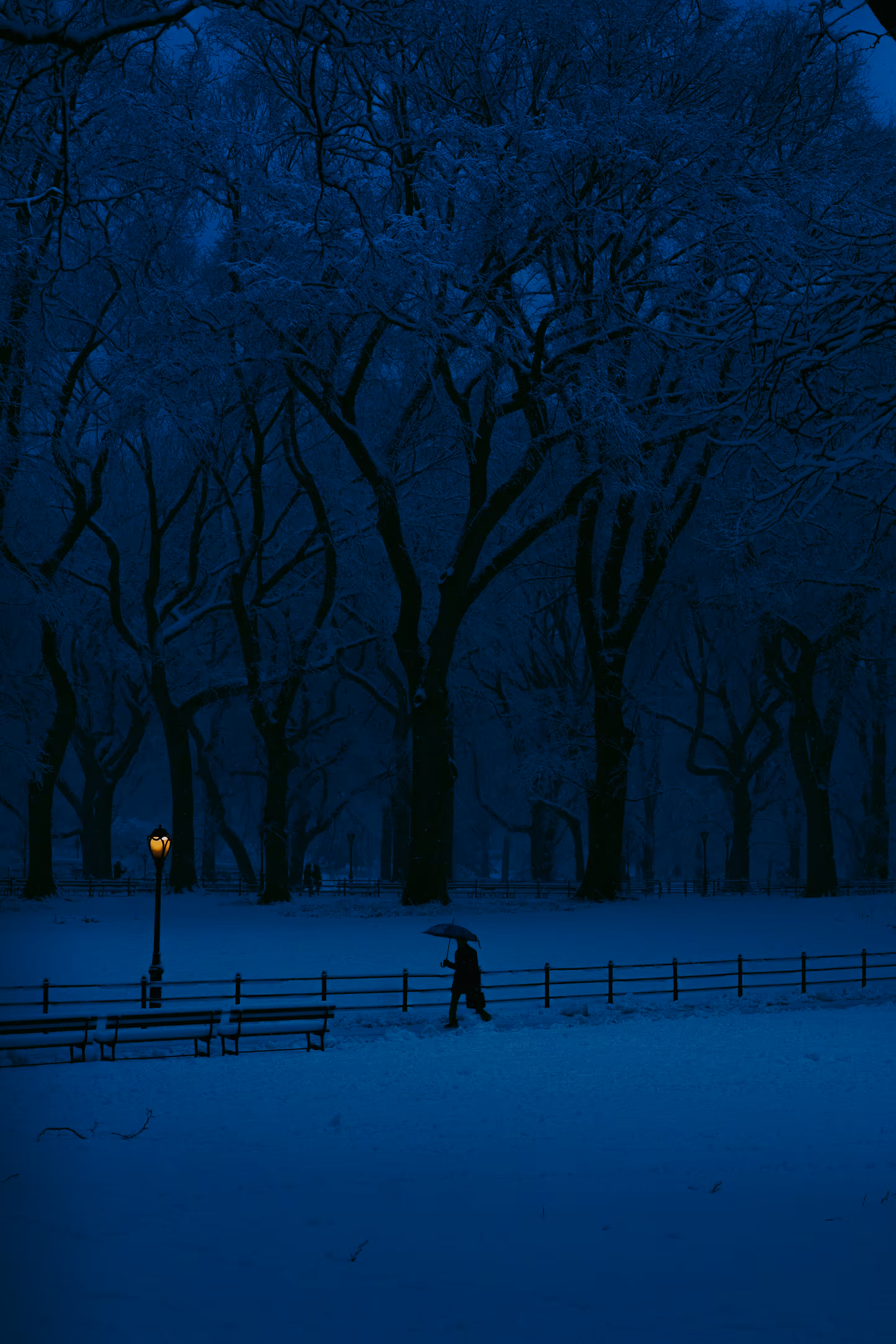 Winter is Coming