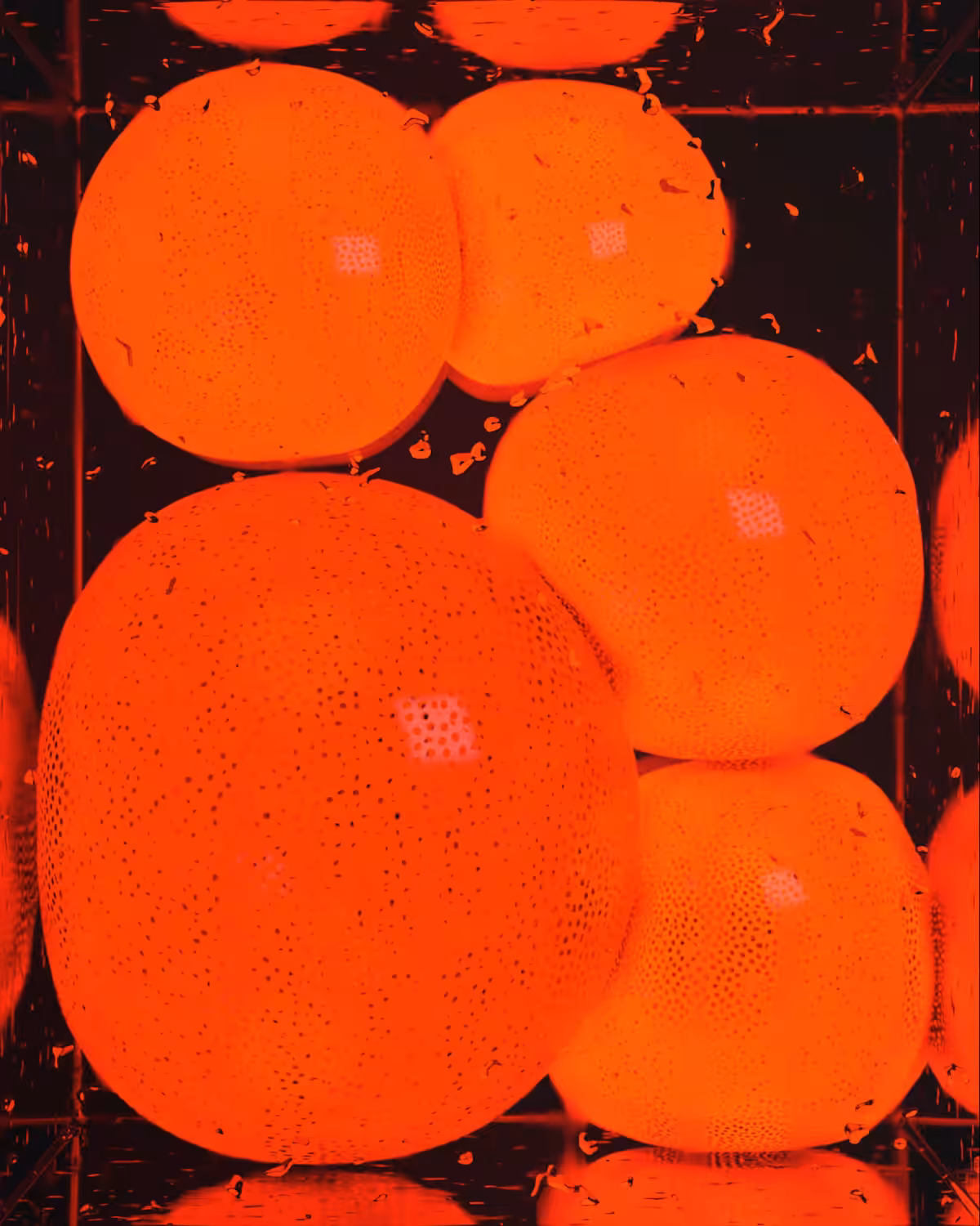 New Form Of Matter 1/1