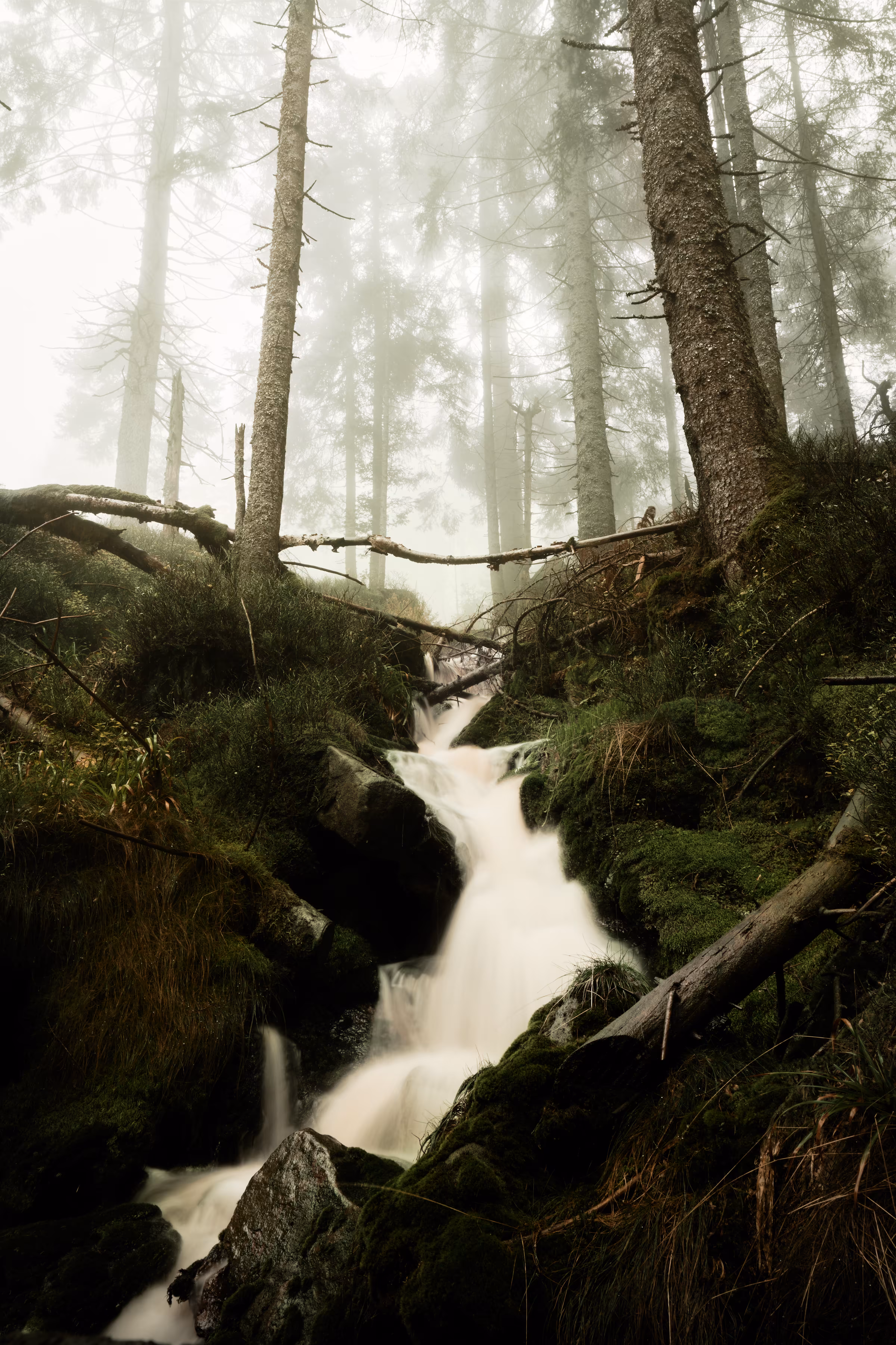 flowing down the mountain