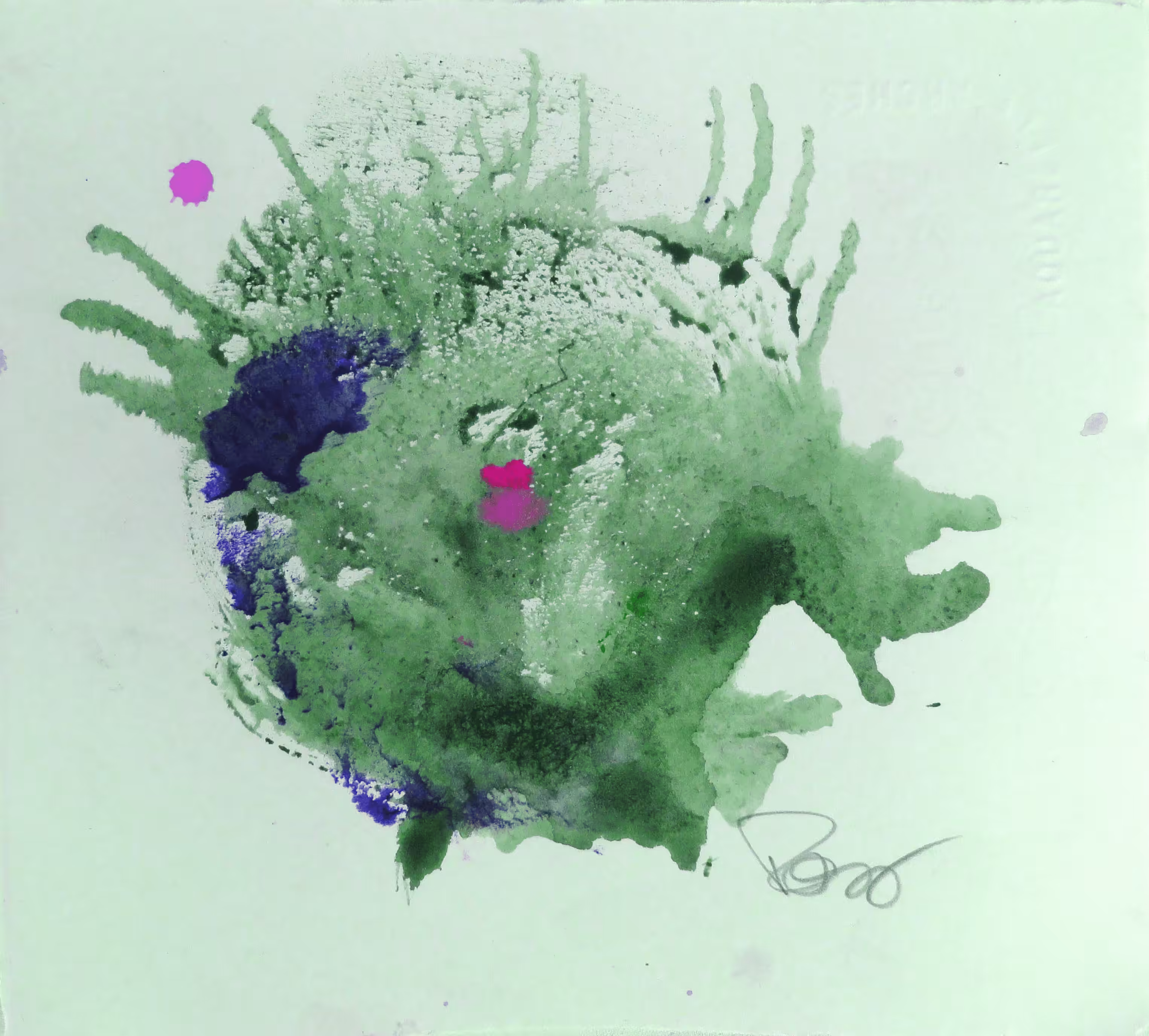 Boobies #5 watercolor by Karrie Ross