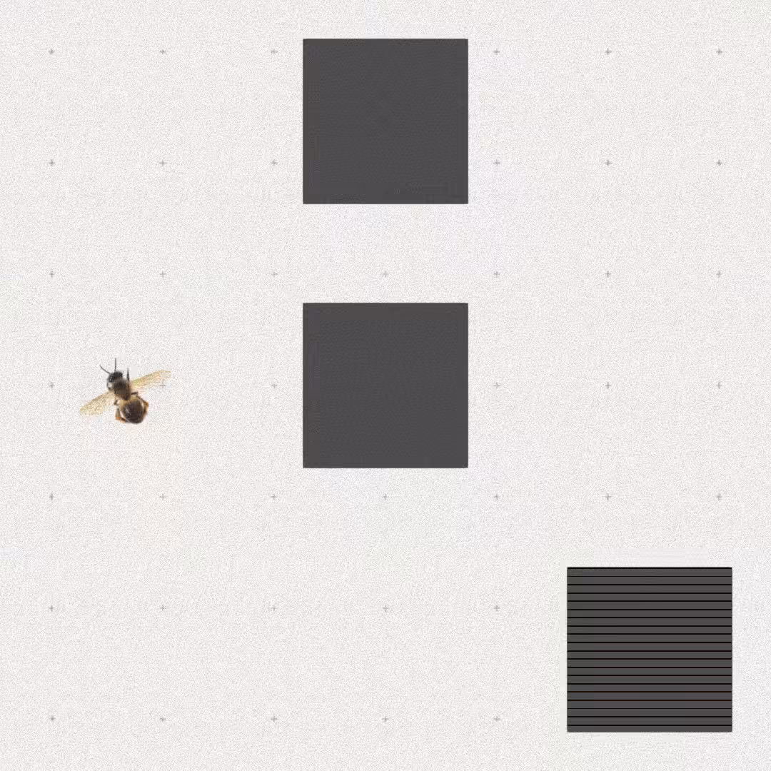 Bee #68