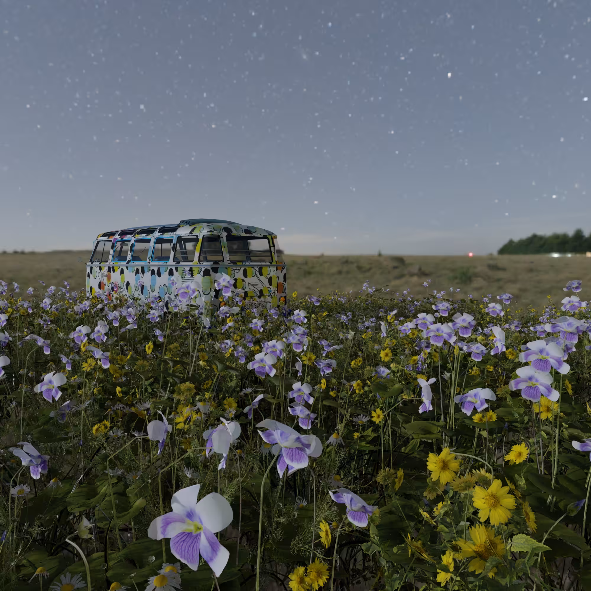 Irina's dreams