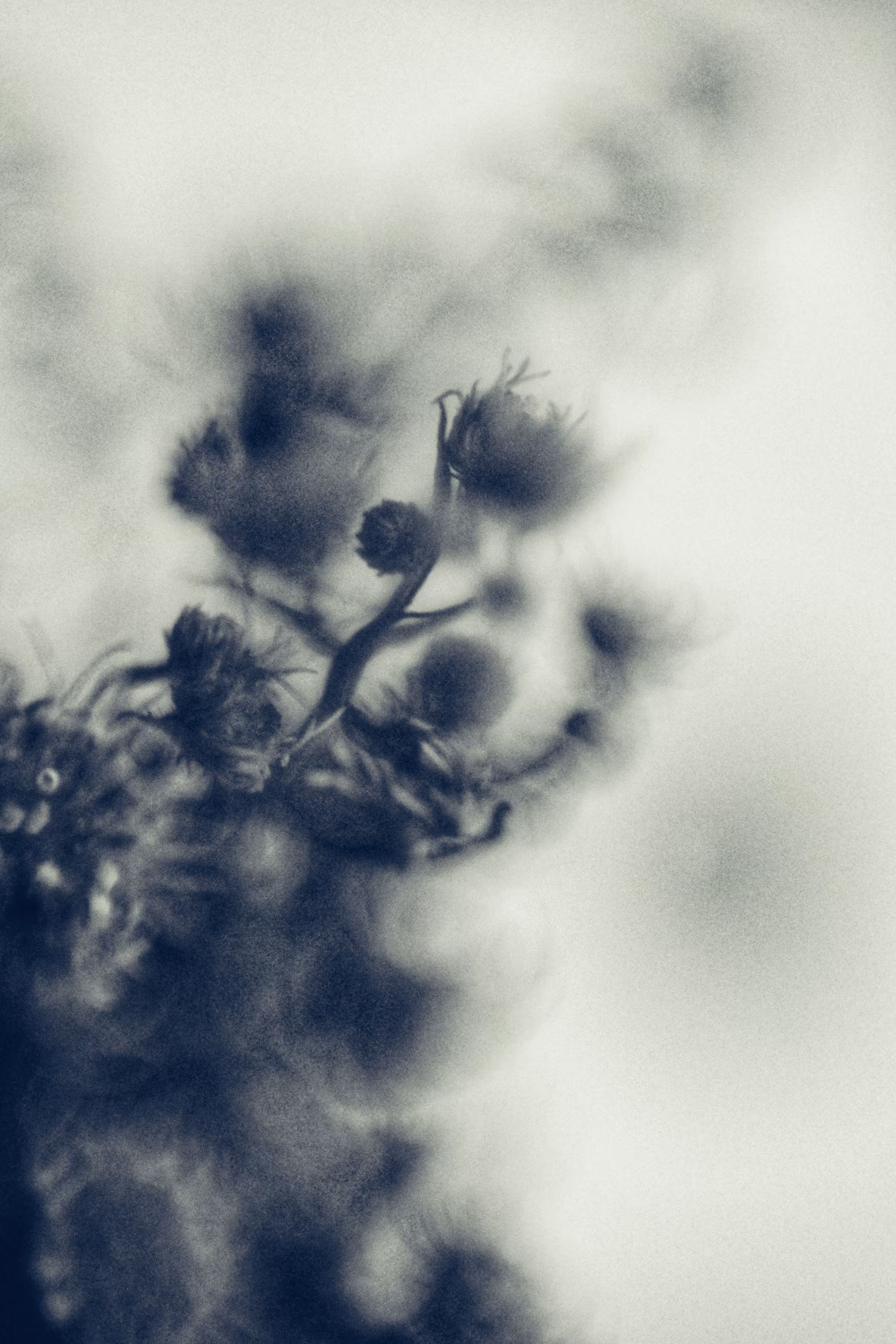 Eternity