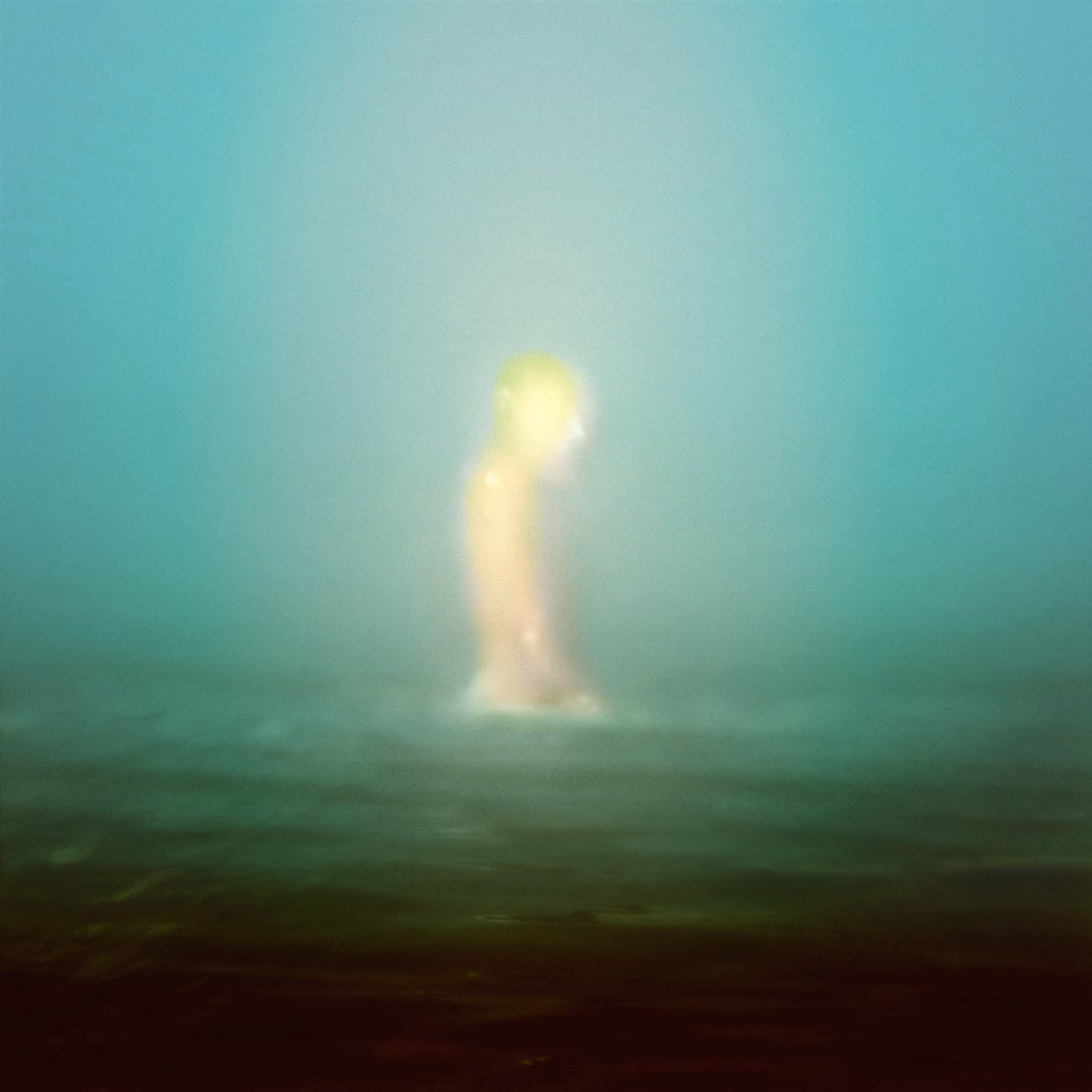 Untitled (From Running Water Serie)