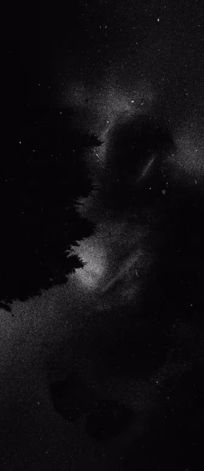 I am free: warlock