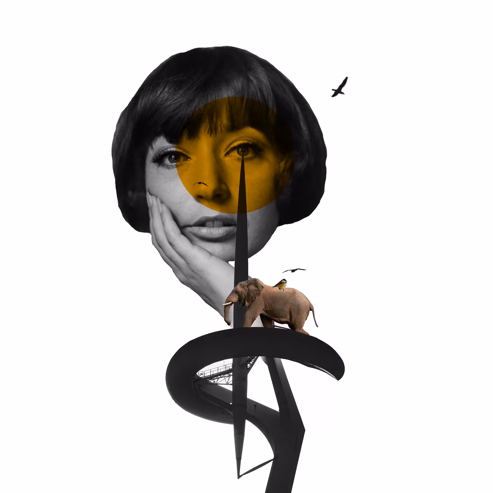 The Bird