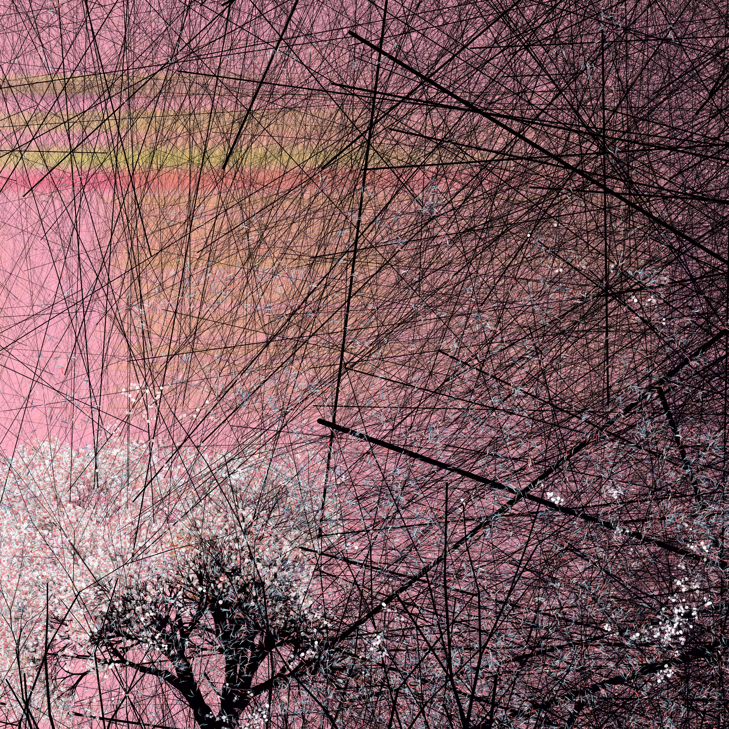 conversation with the wind #7