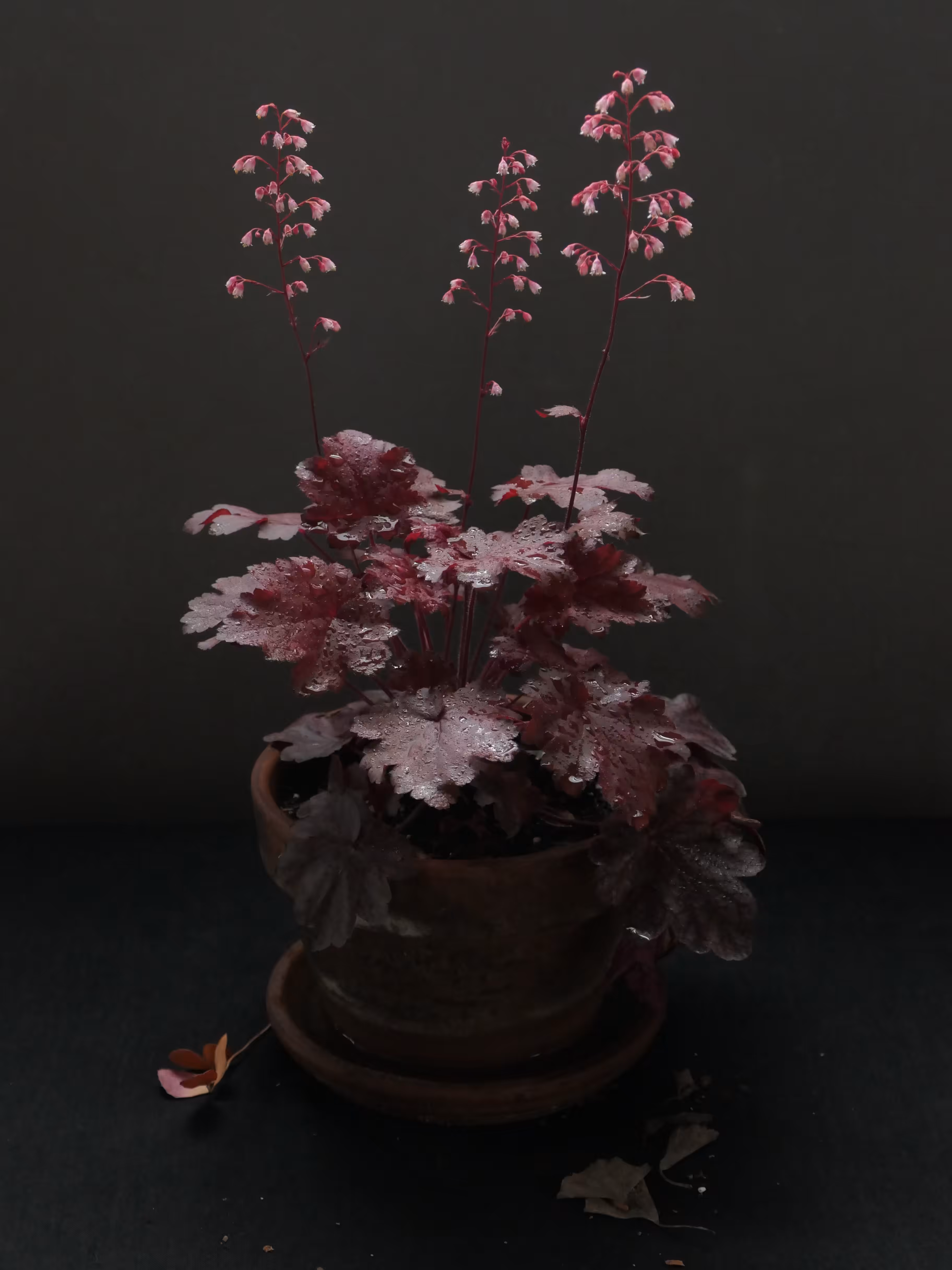 Still Life #3