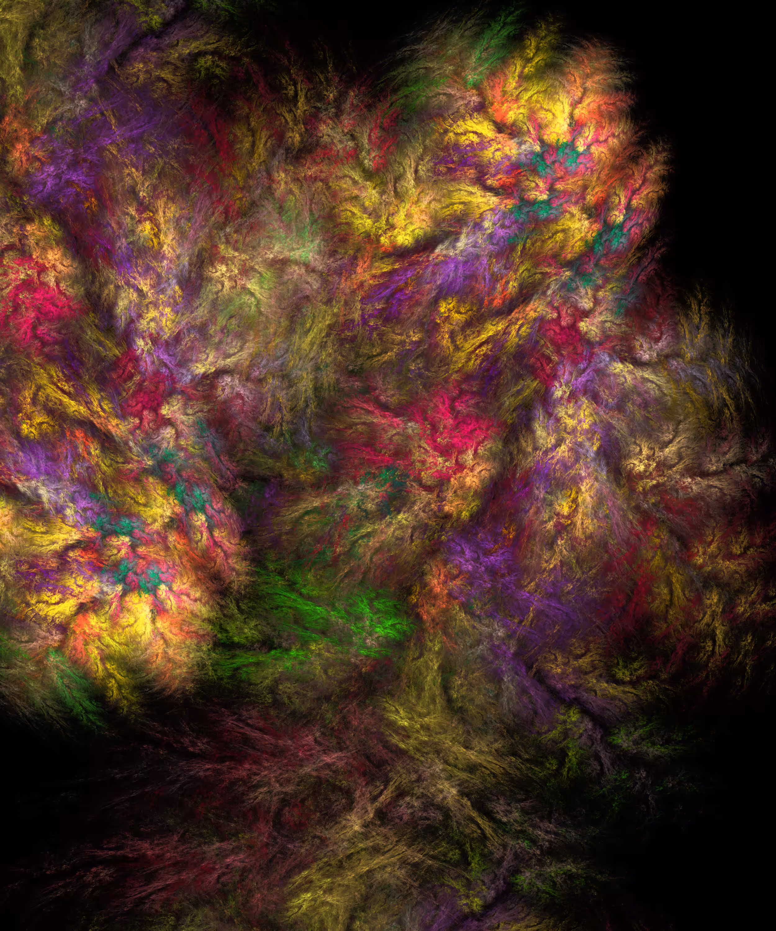 The Fermentation