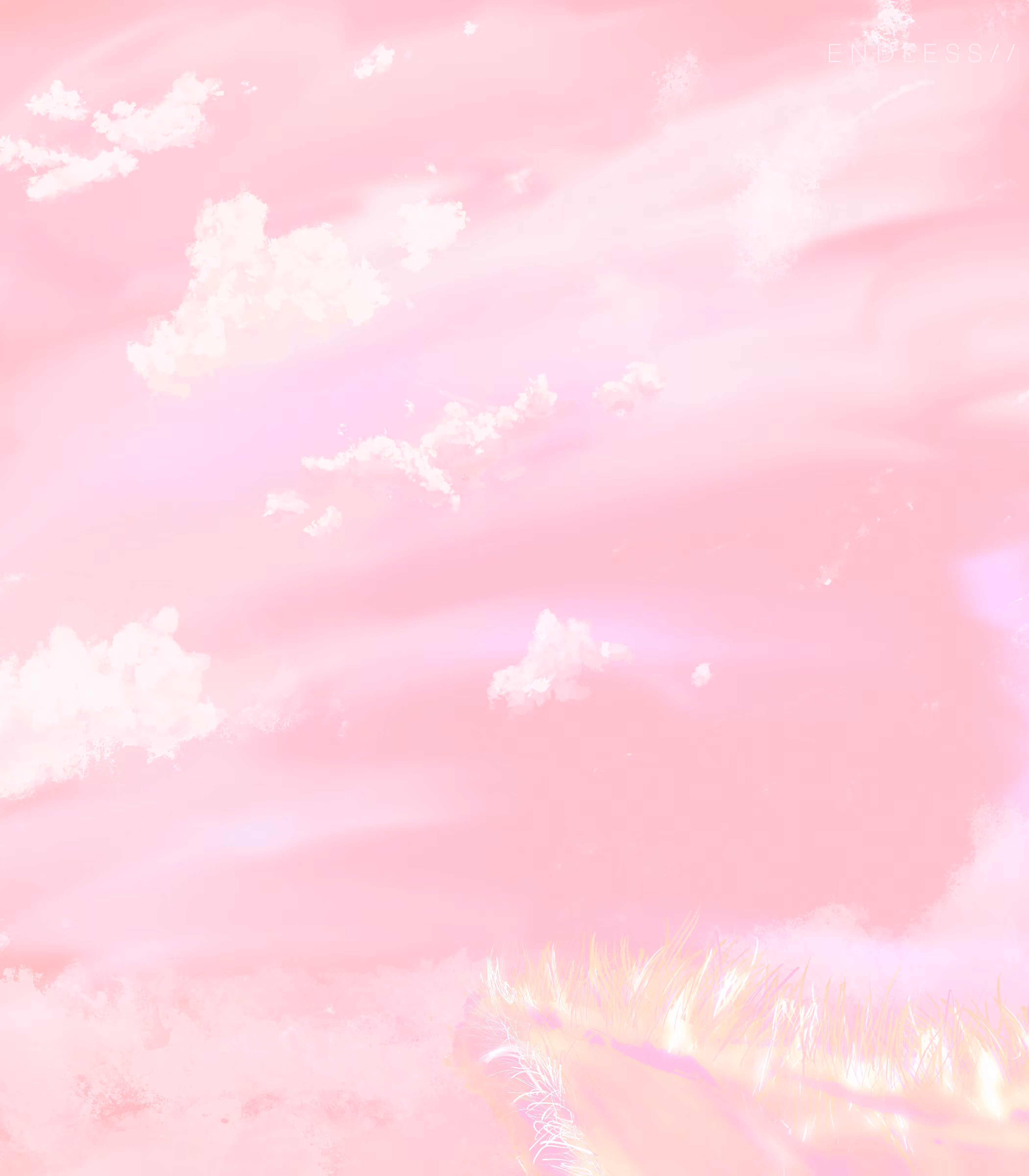 E N D L E S S / /
